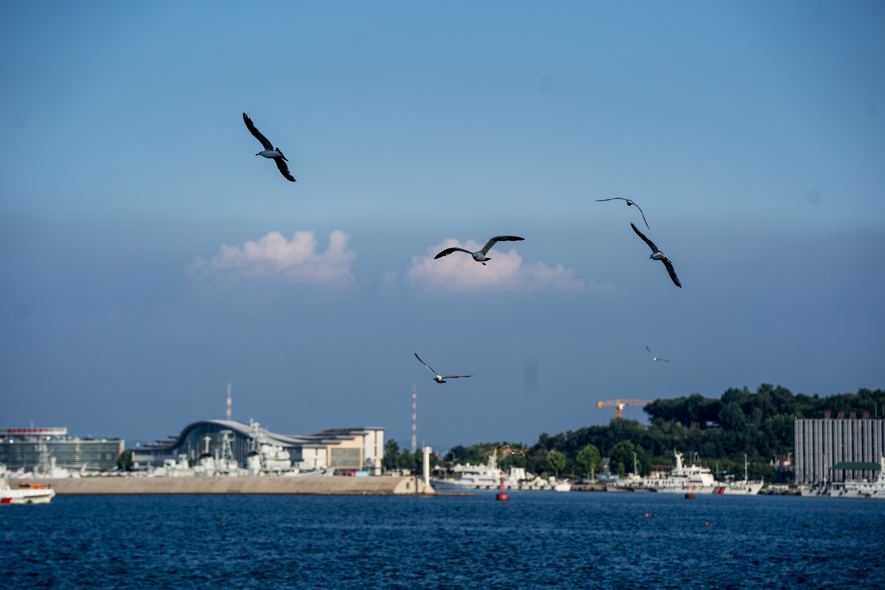 DSC04418-2.jpg