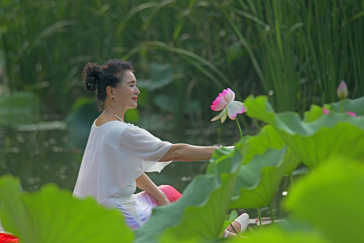 芙蓉向脸两边开.JPG