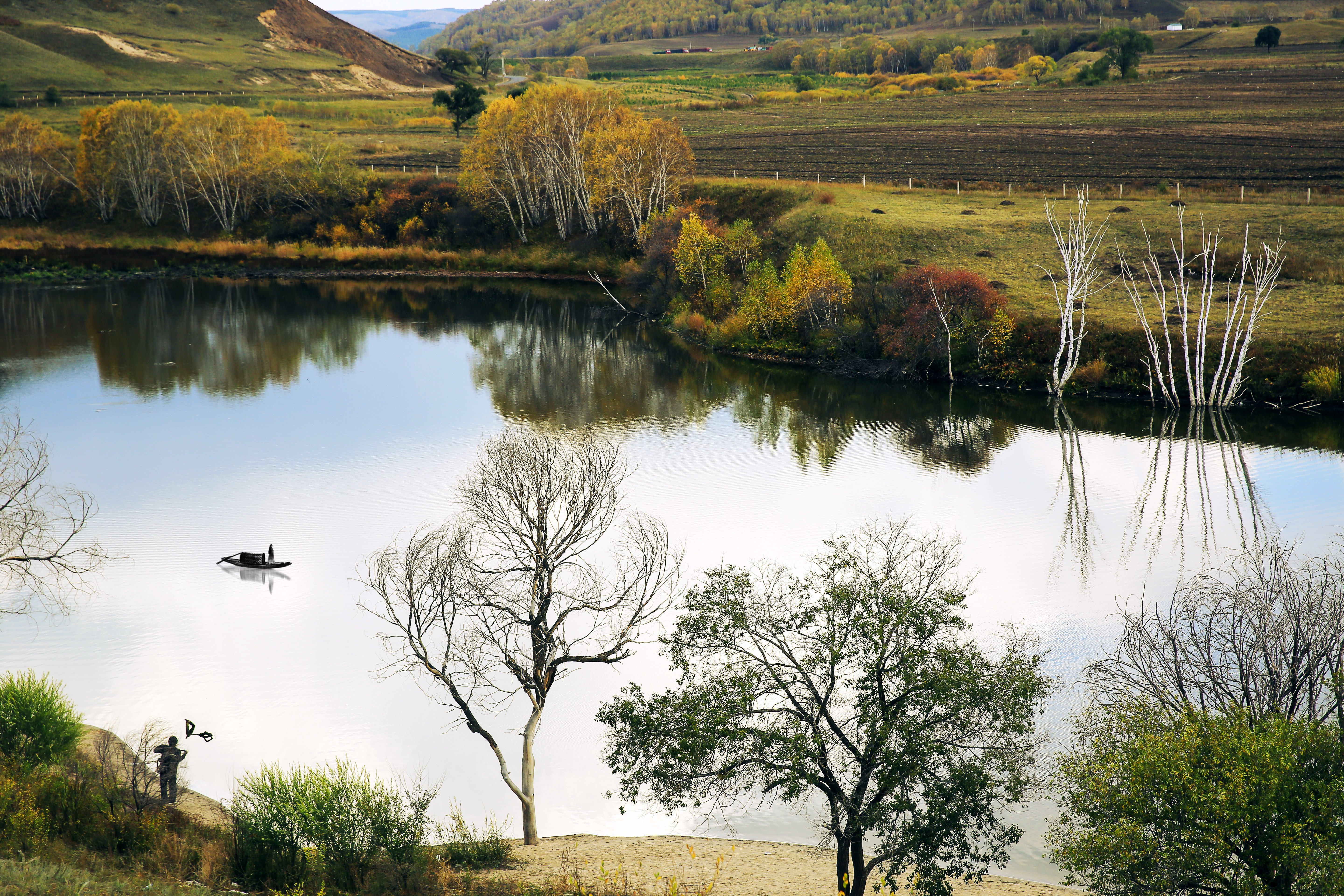 1J8A9417 1  《坝上秋色》  作者  王振庆.jpg