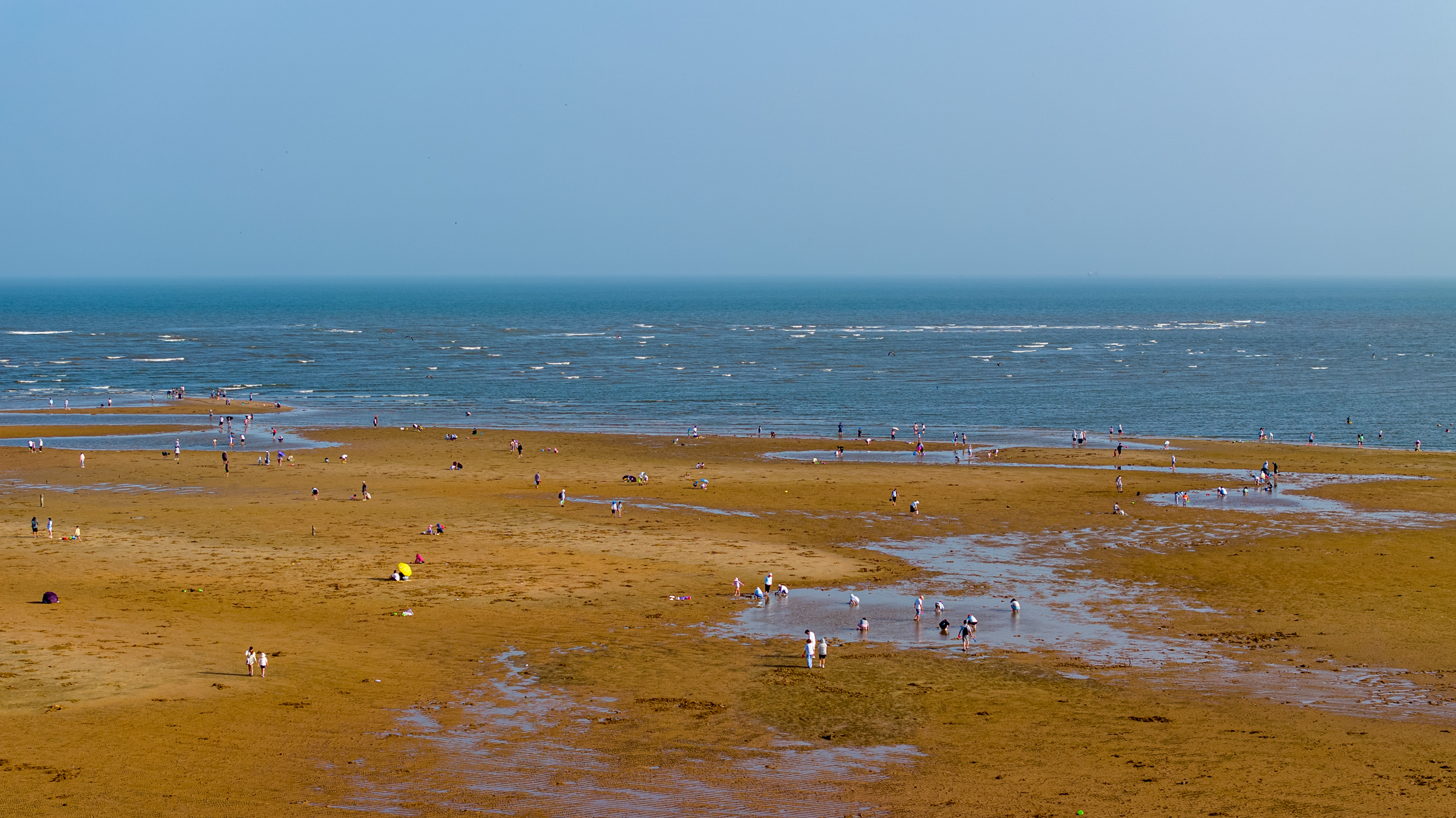 500、《赶海人》DJI_20240811164529_0019_D 拷贝.jpg