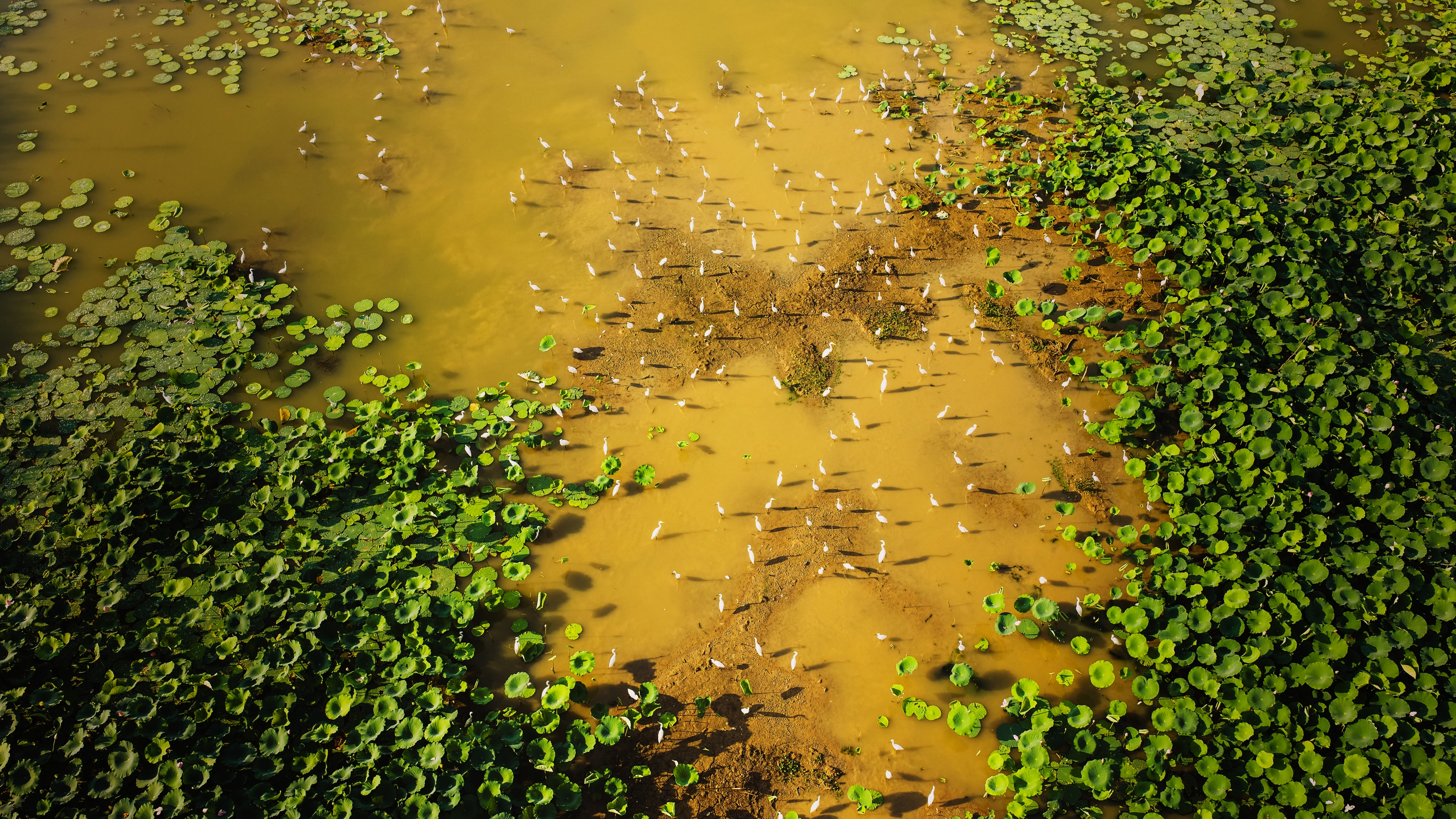 DJI_20250823165502_0238_D-11g3000.jpg