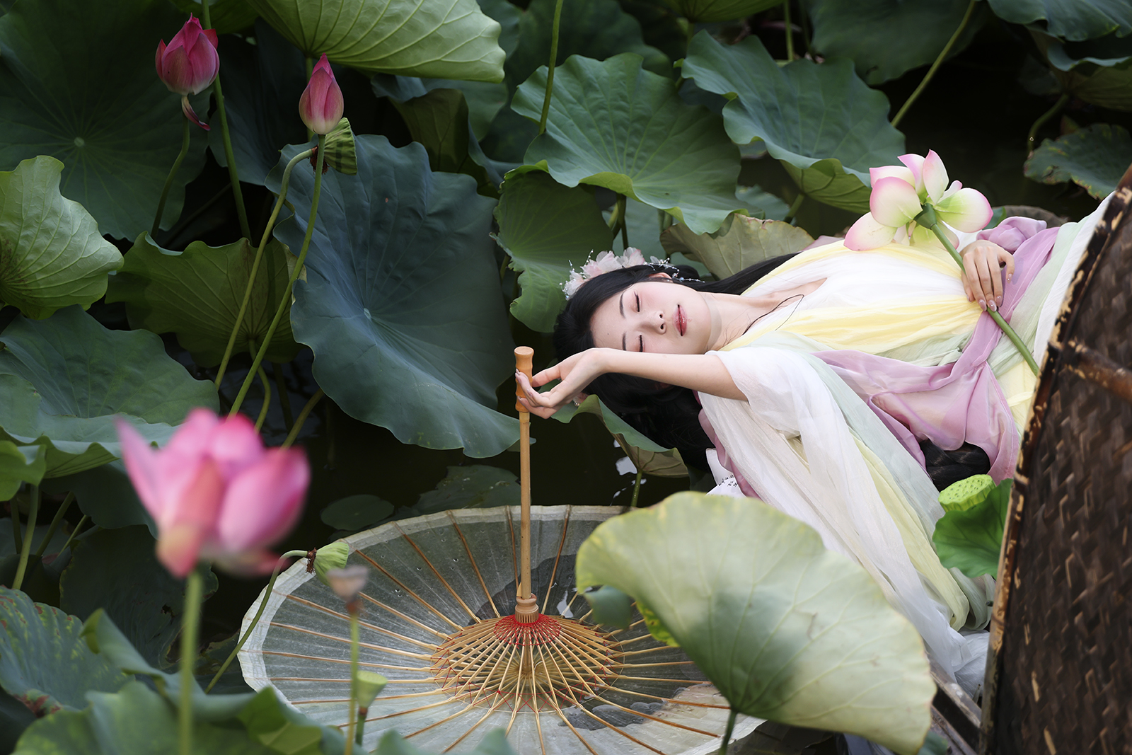 莲塘梦影：汉服与荷花的静谧私语.