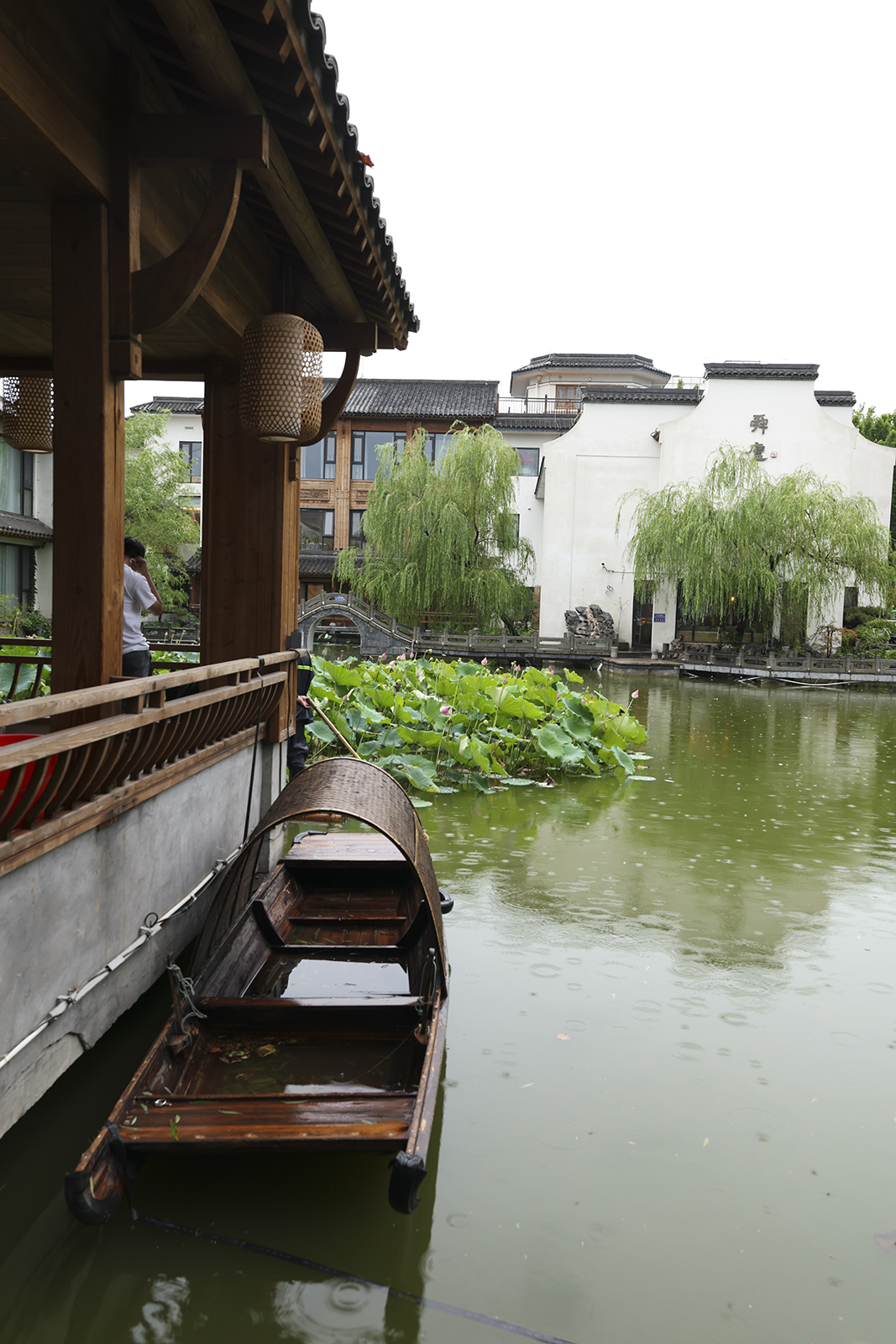 雨帘垂梦 西岸听雨