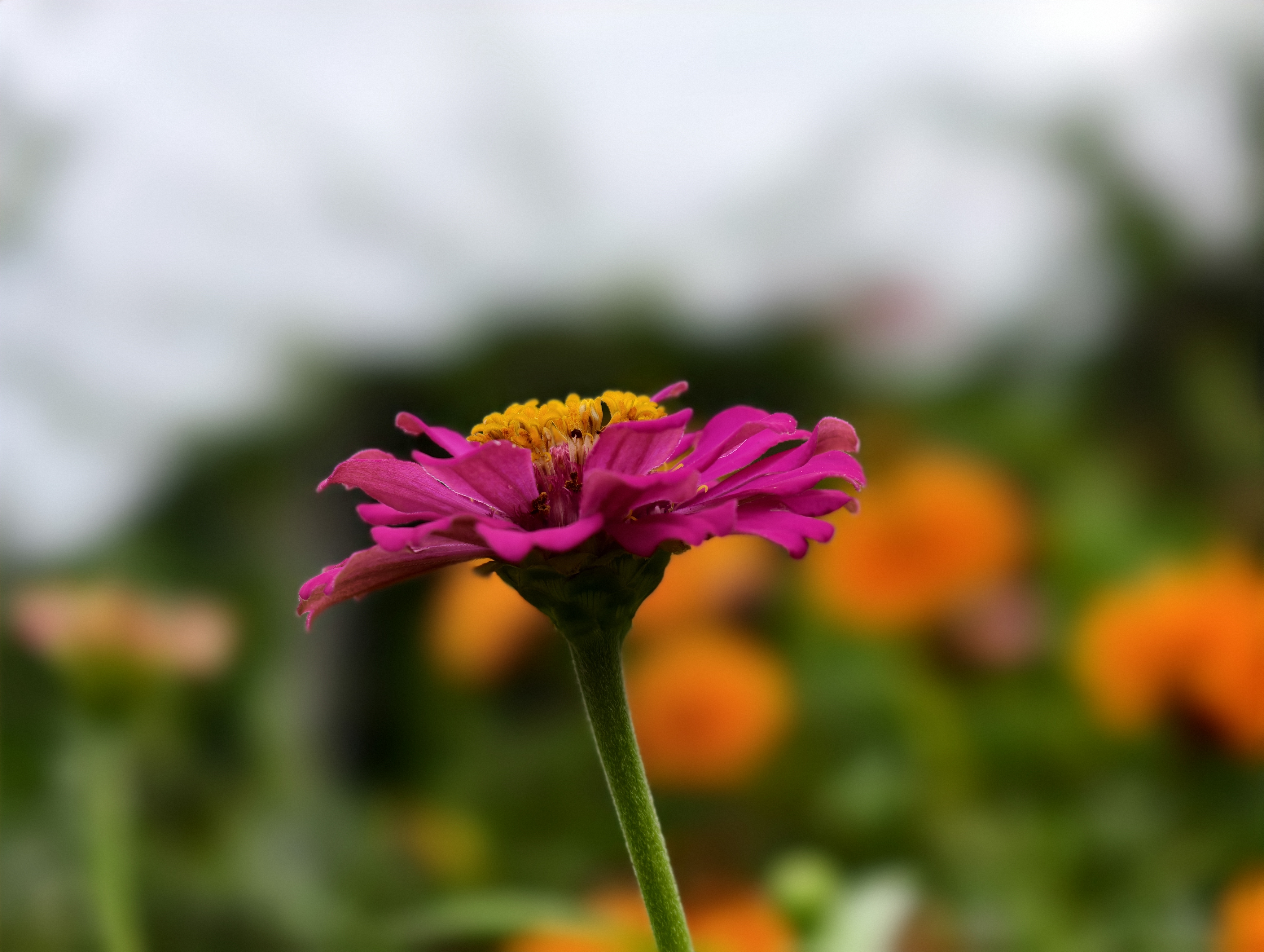IMG_20250829_085558.jpg