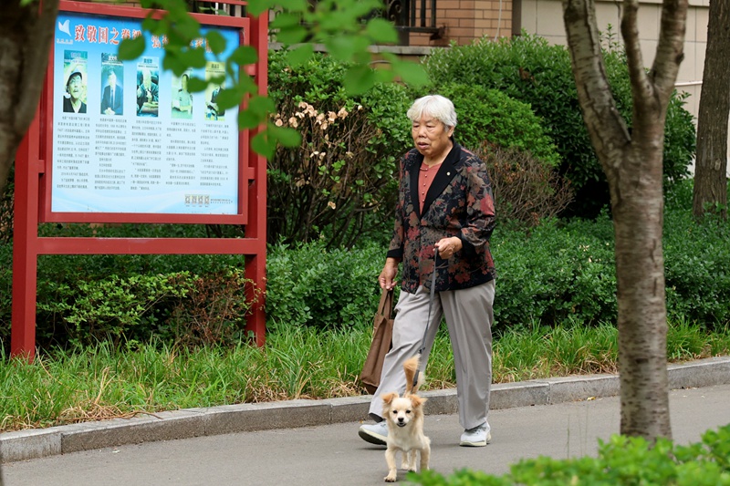 遛狗6.jpg