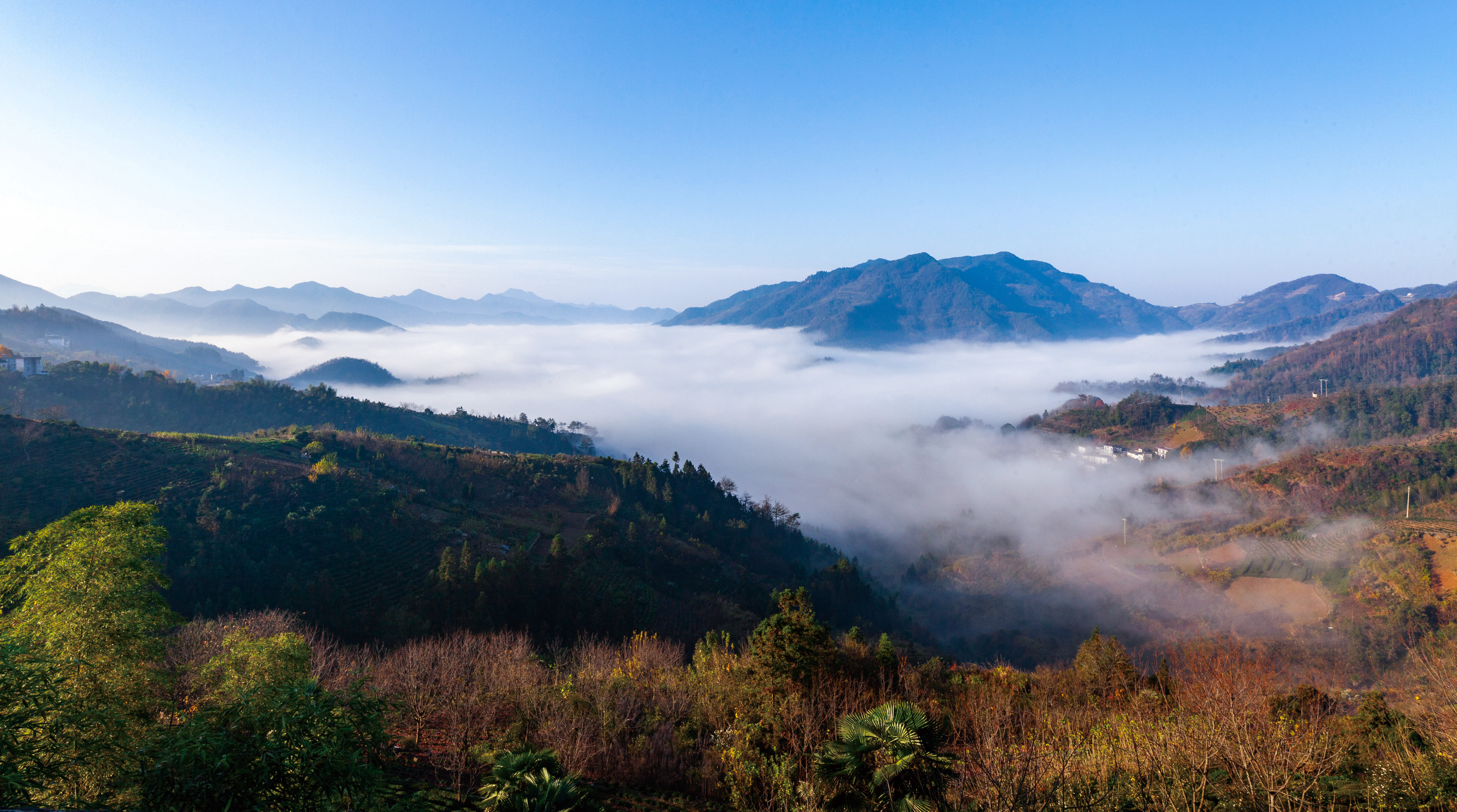500、《朦胧山村》IMG_3548.jpg