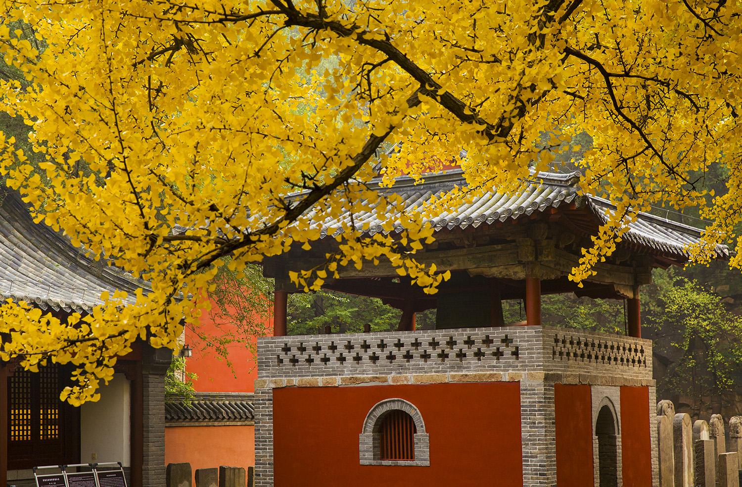 _MG_1405-----1-1500.jpg