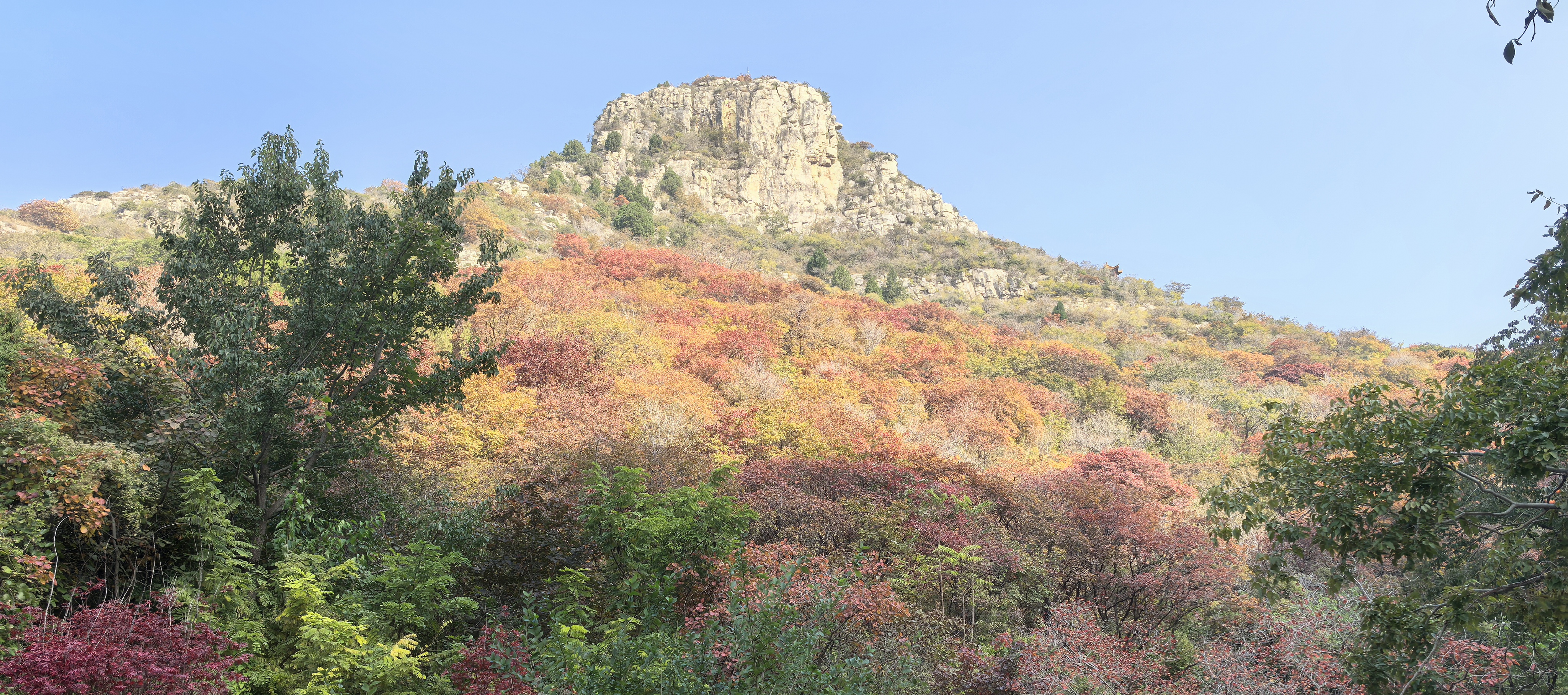 IMG_20251029_093626.jpg