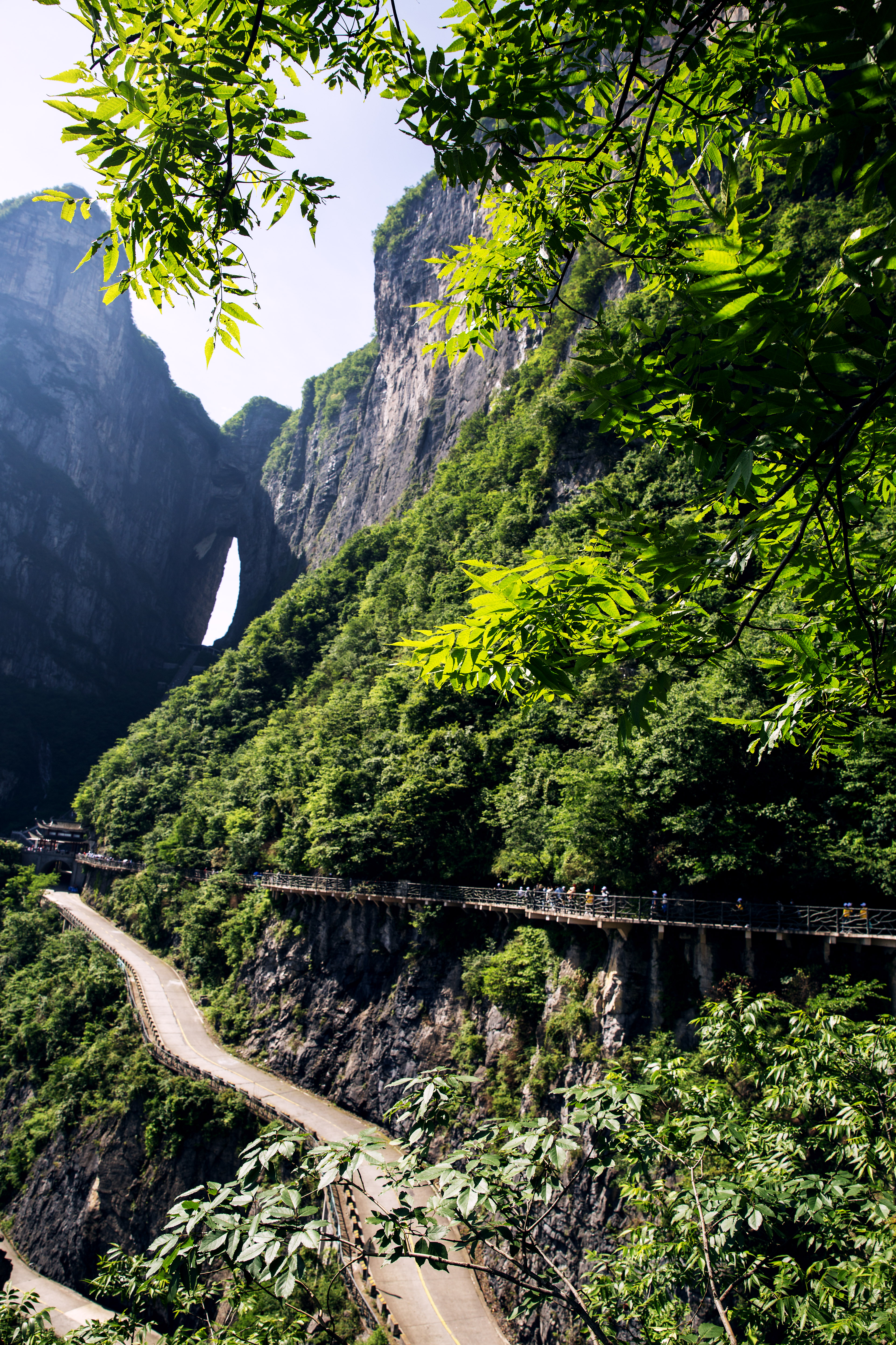 _J8A6891 1  《天门山》  作者  王振庆.jpg