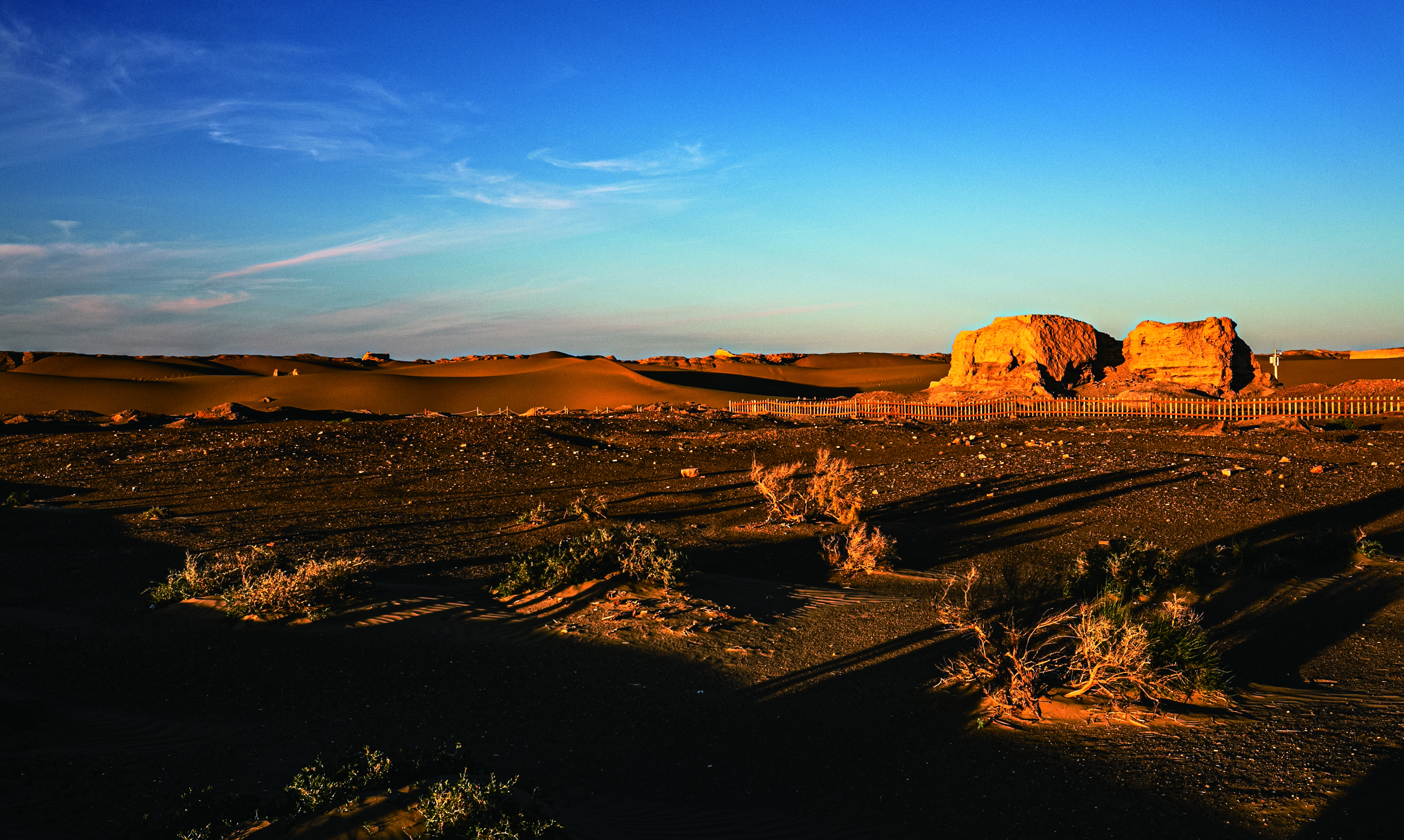 500、《沙漠之光》1E2A7761 拷贝.jpg