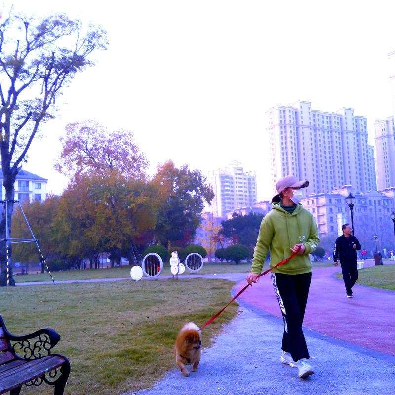 PICT0025_副本.jpg