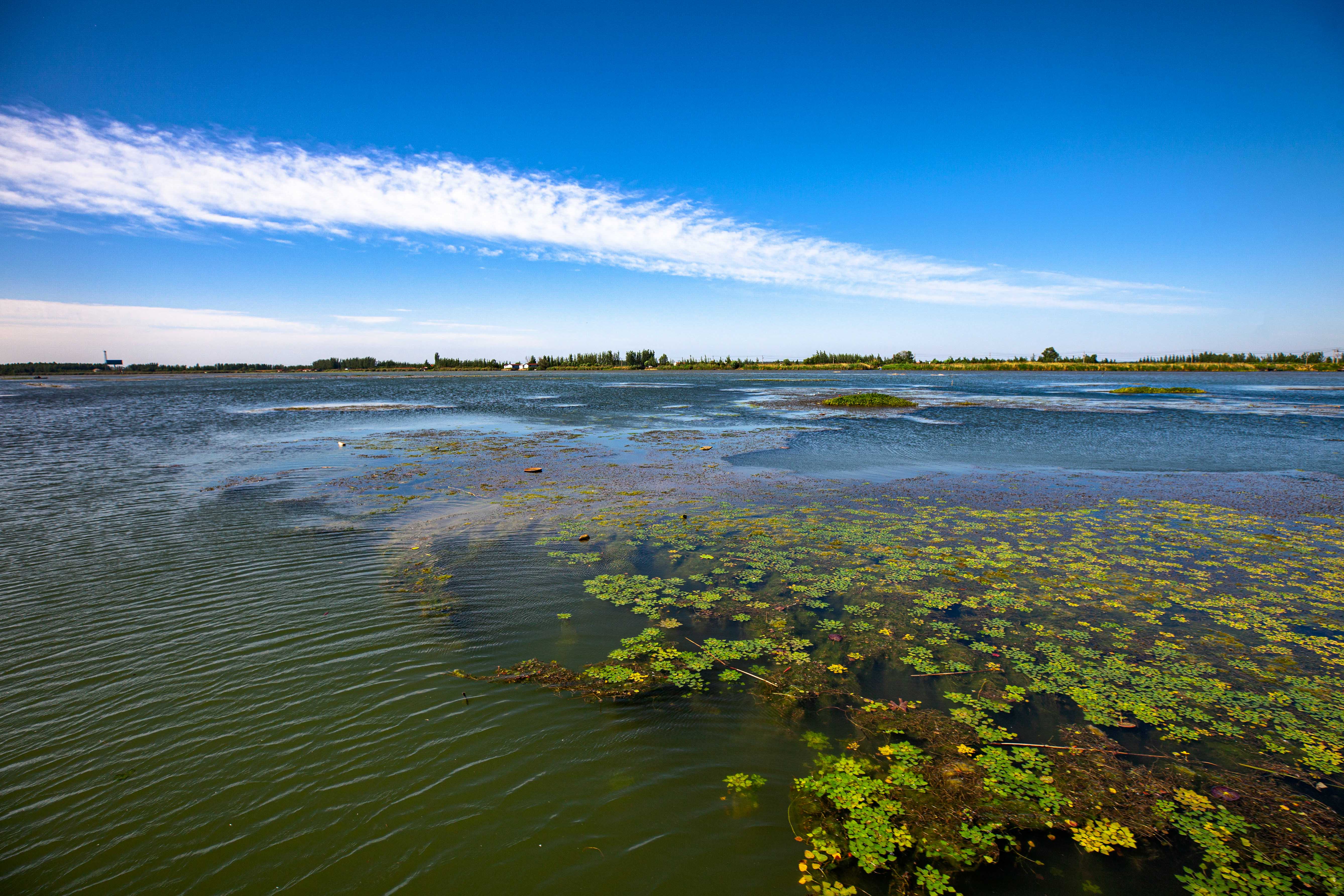 500、《大湖风光》IMG_6685 拷贝.jpg