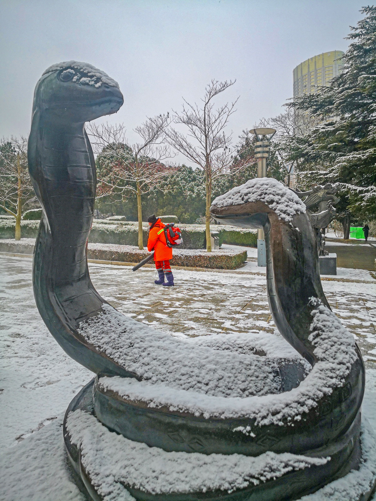 乙巳年初雪 .jpg