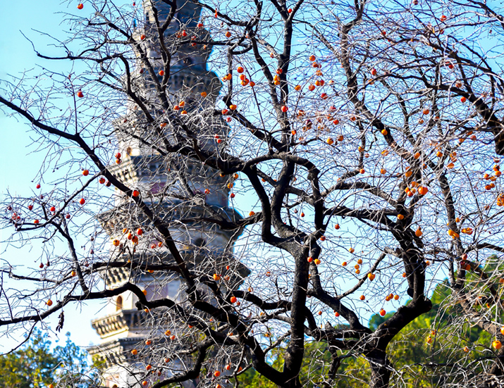 古韵千秋-灵岩寺 (4).jpg