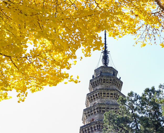古韵千秋-灵岩寺 (5).jpg