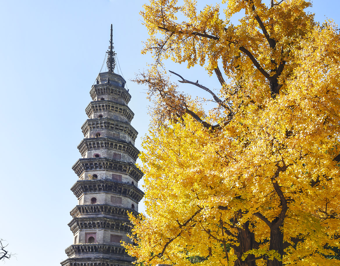 古韵千秋-灵岩寺 (6).jpg