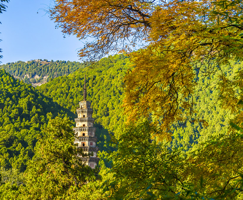 古韵千秋-灵岩寺 (9).jpg
