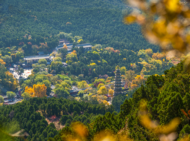 古韵千秋-灵岩寺 (10).jpg