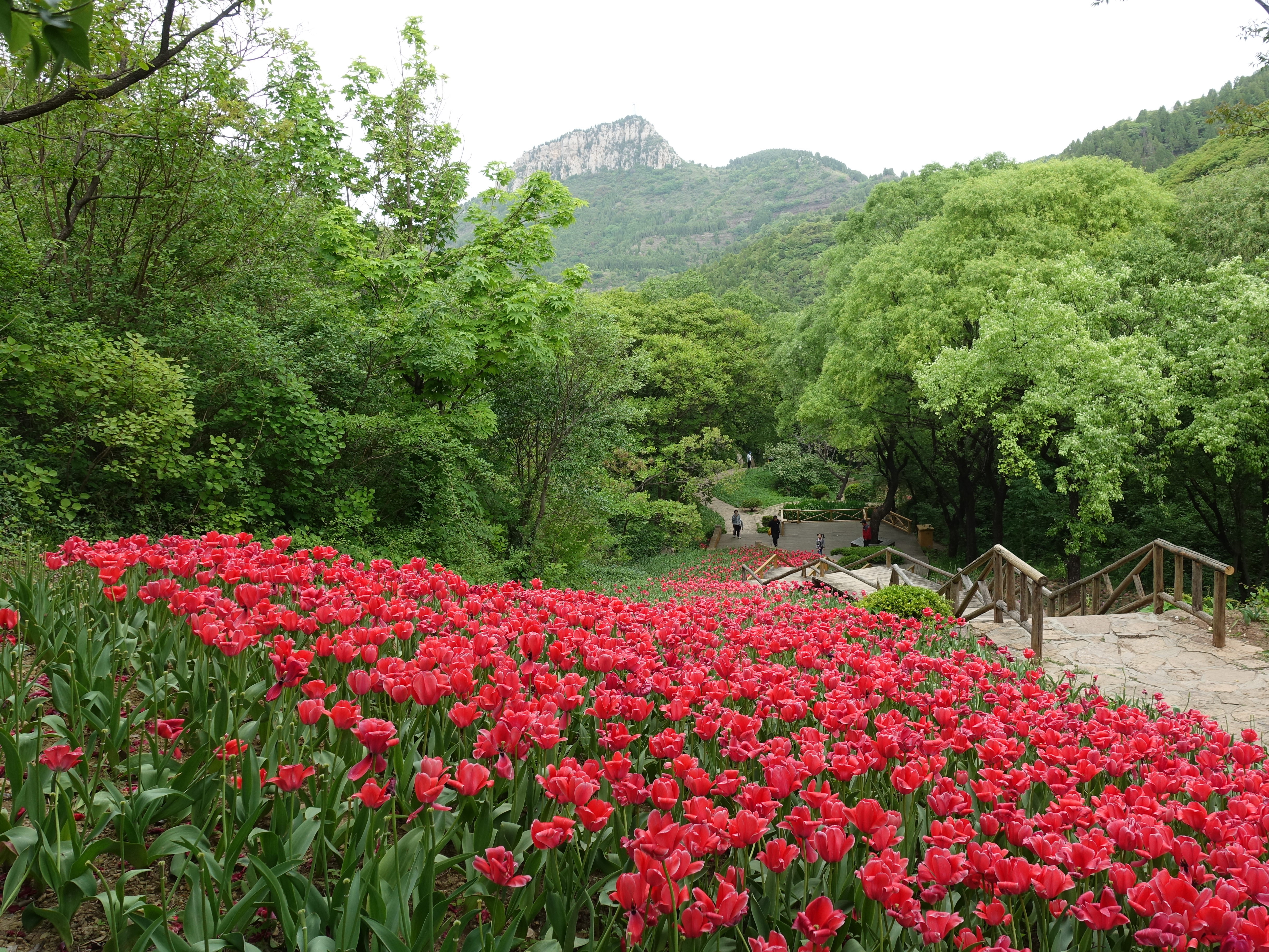 DSC07282.JPG