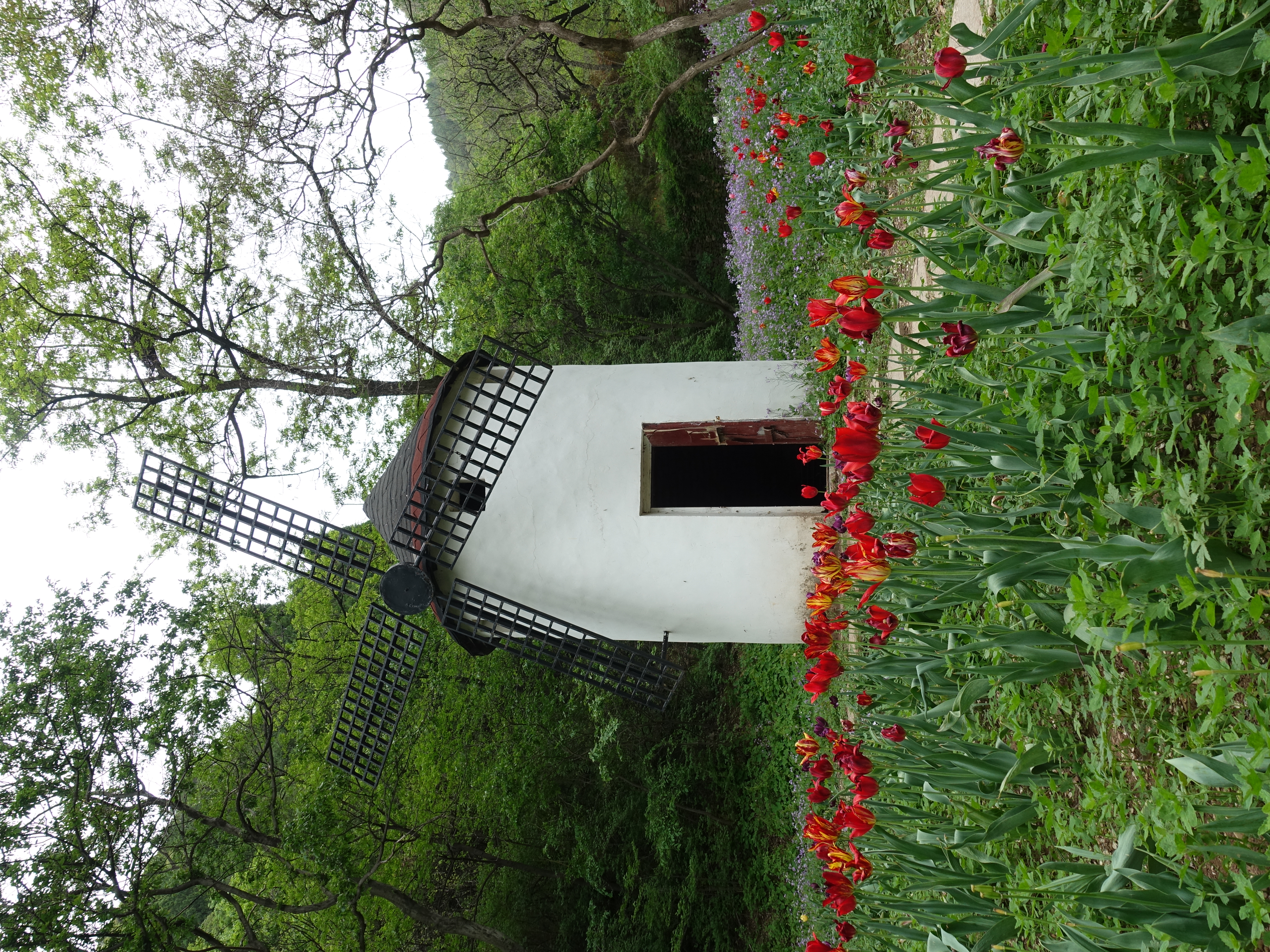 DSC07326.JPG