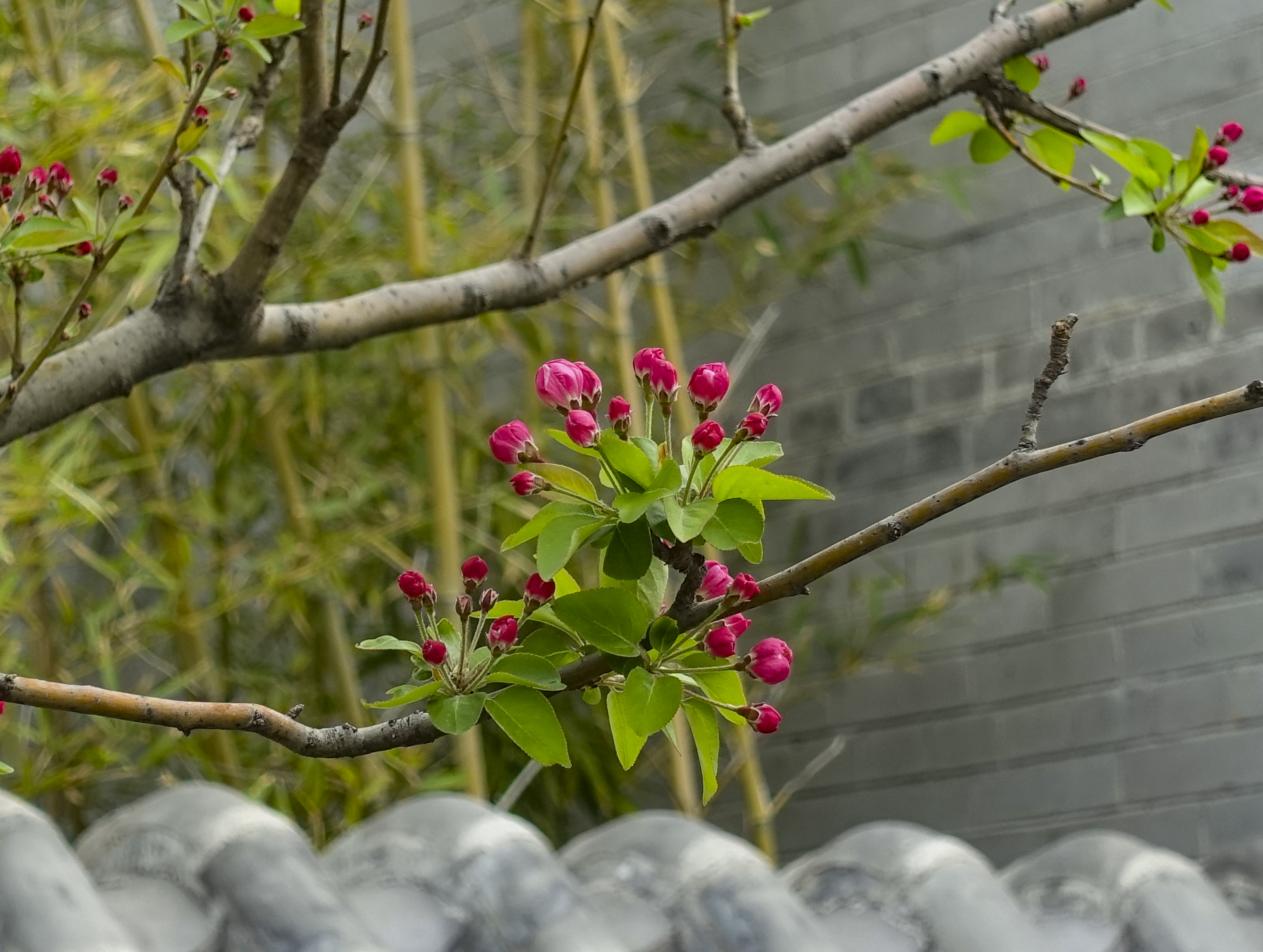 DSC01108.jpg