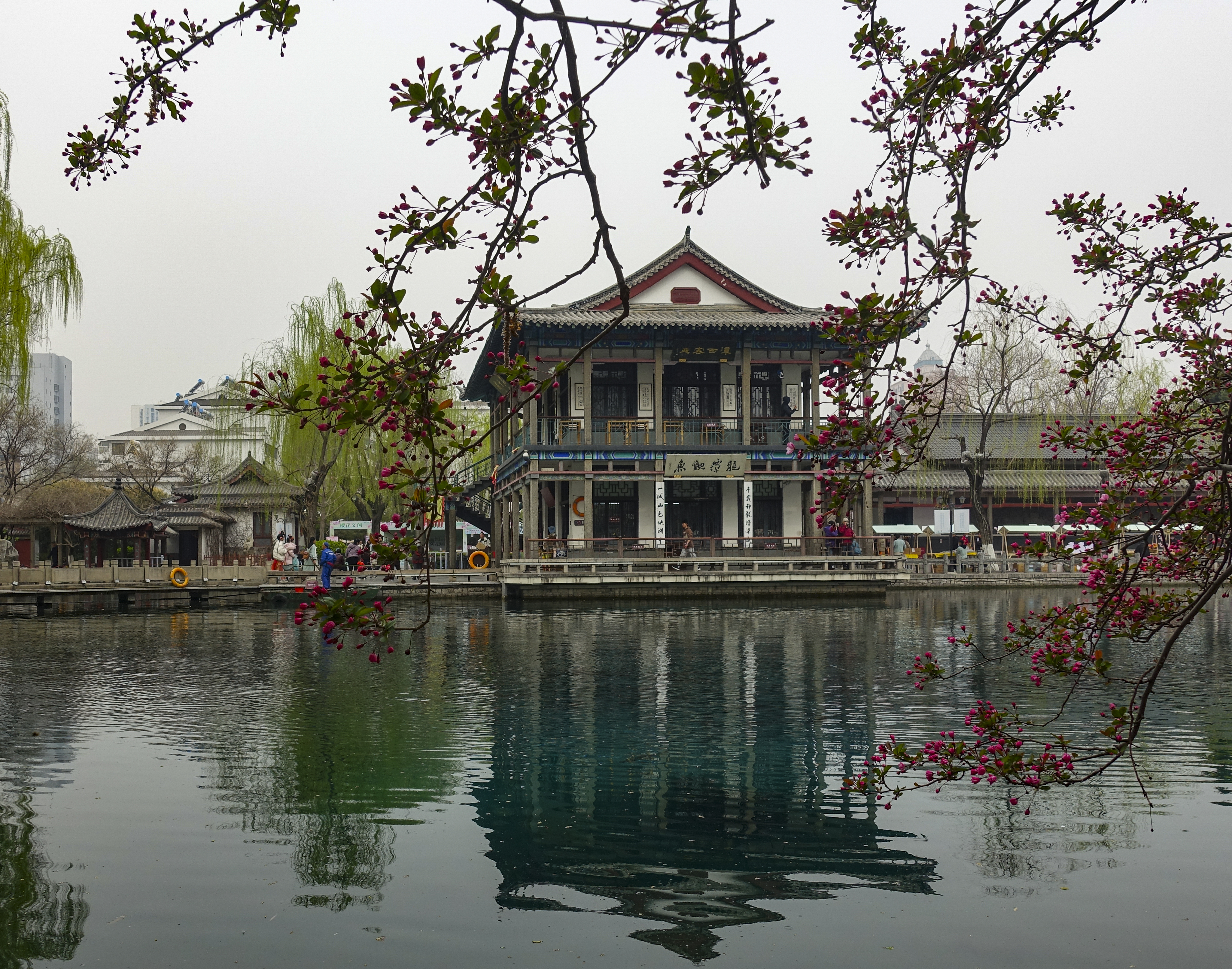 DSC01119.jpg
