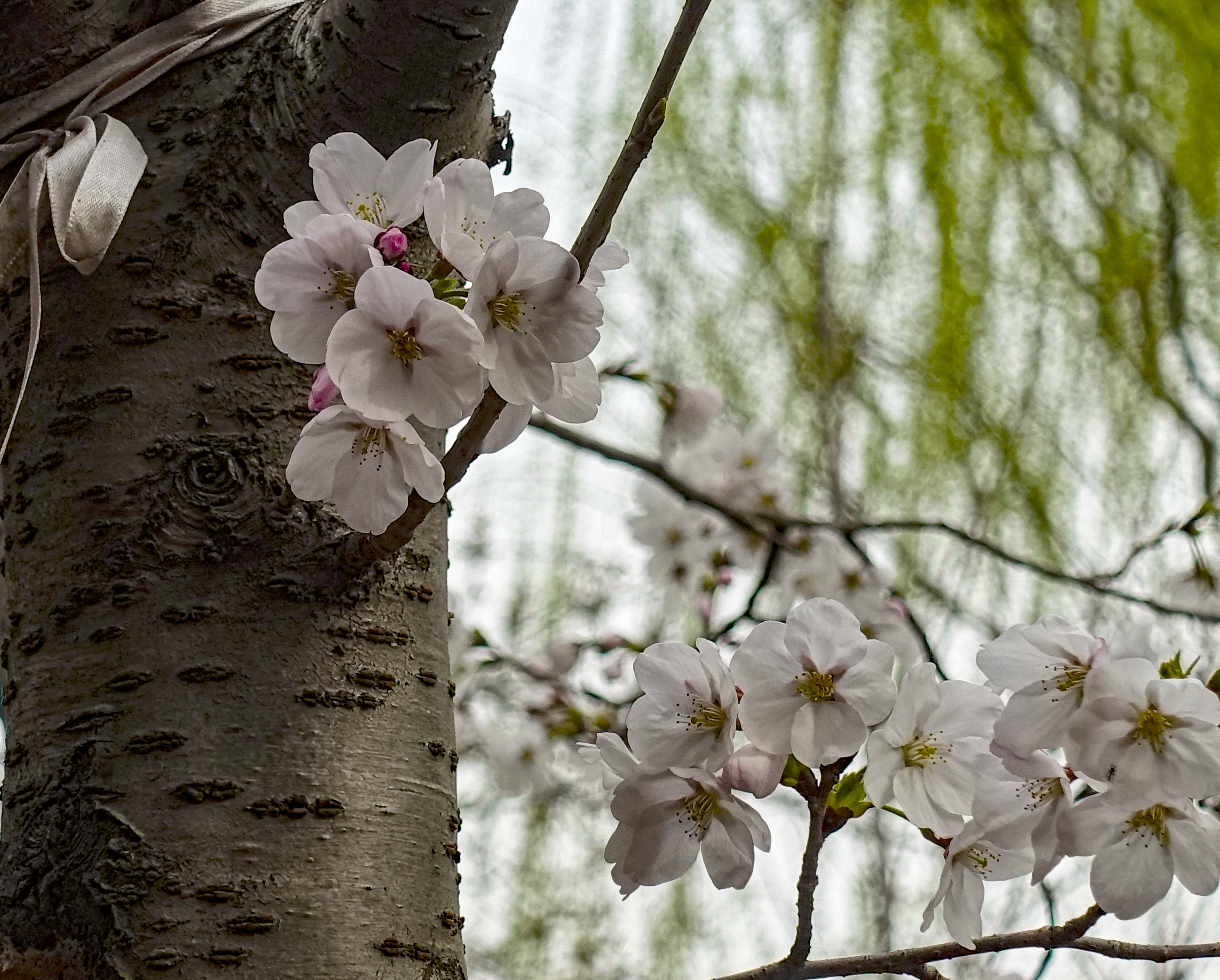 DSC01134.jpg