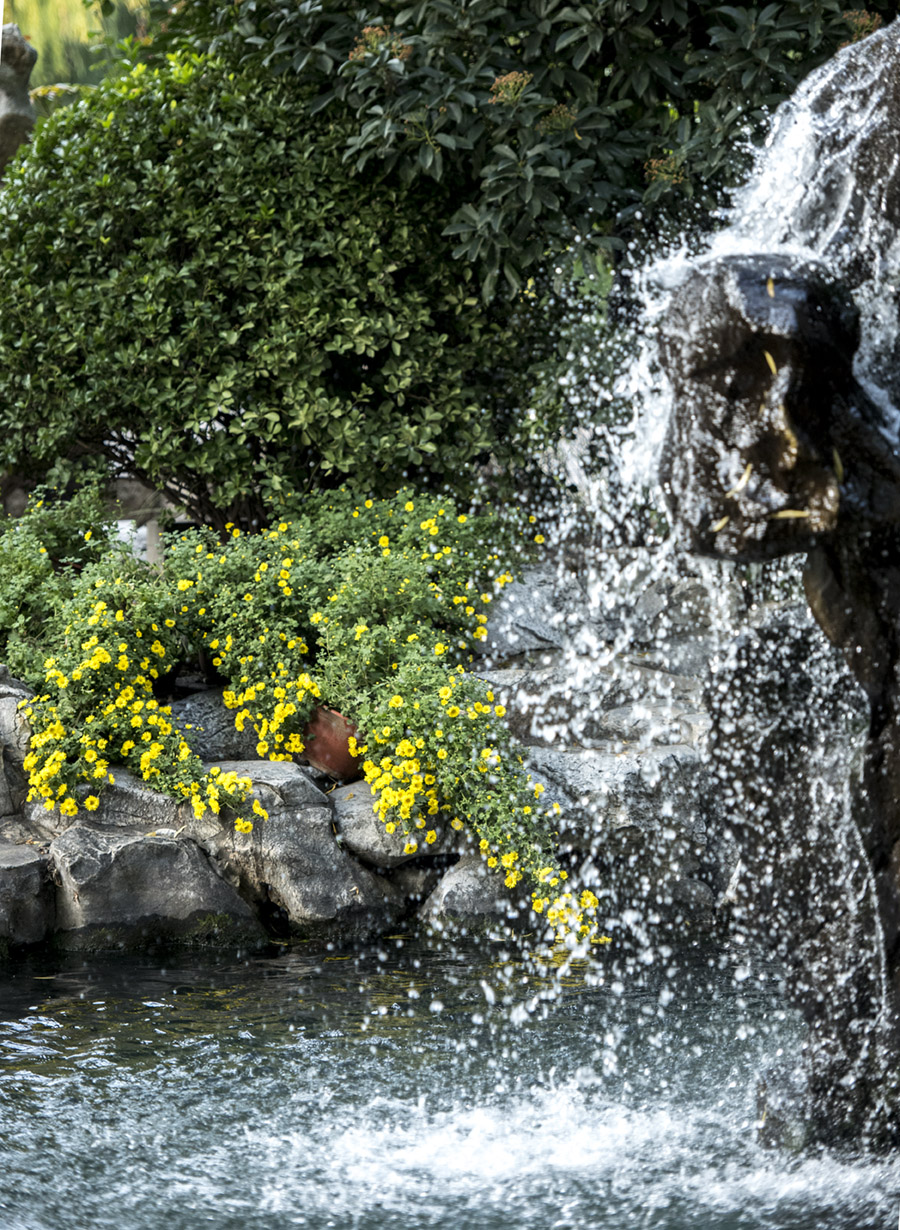 DSC_9593.jpg