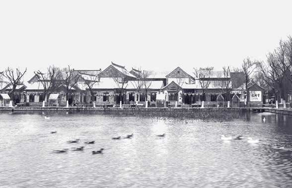 陆晓林《雁渡寒潭》摄于百花洲13808925304..jpg