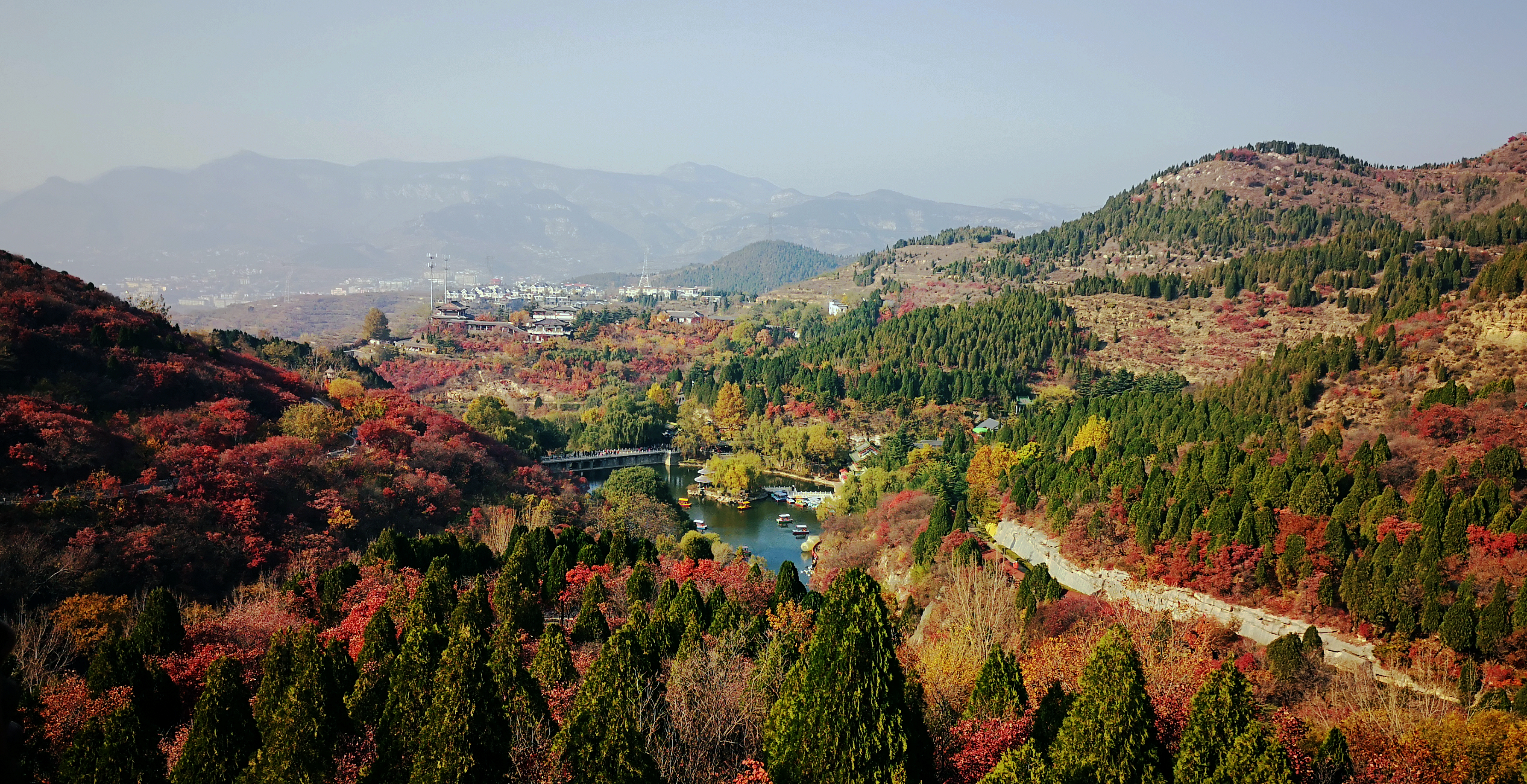 IMG_20191105_141528(1).jpg