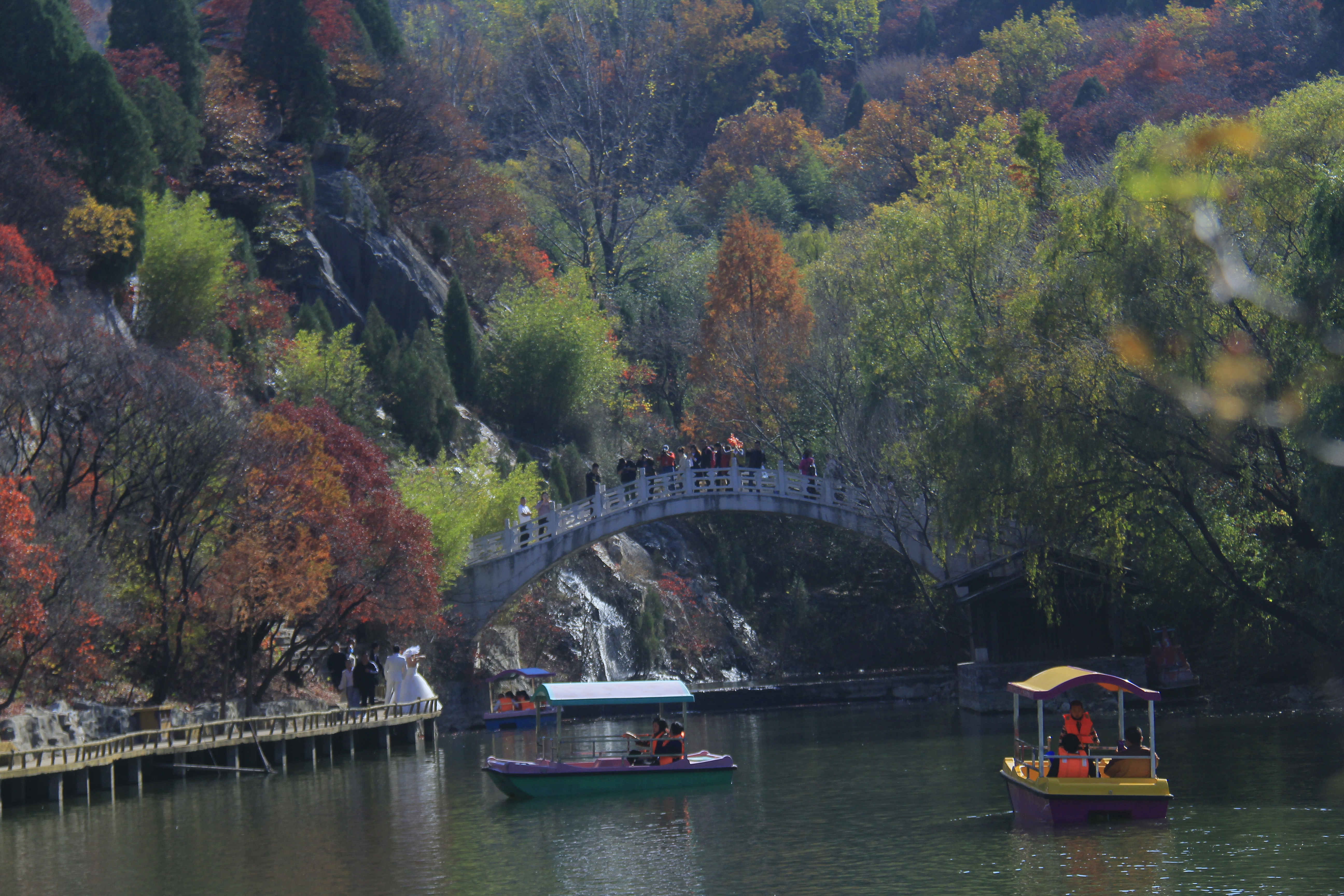 _MG_2606.JPG
