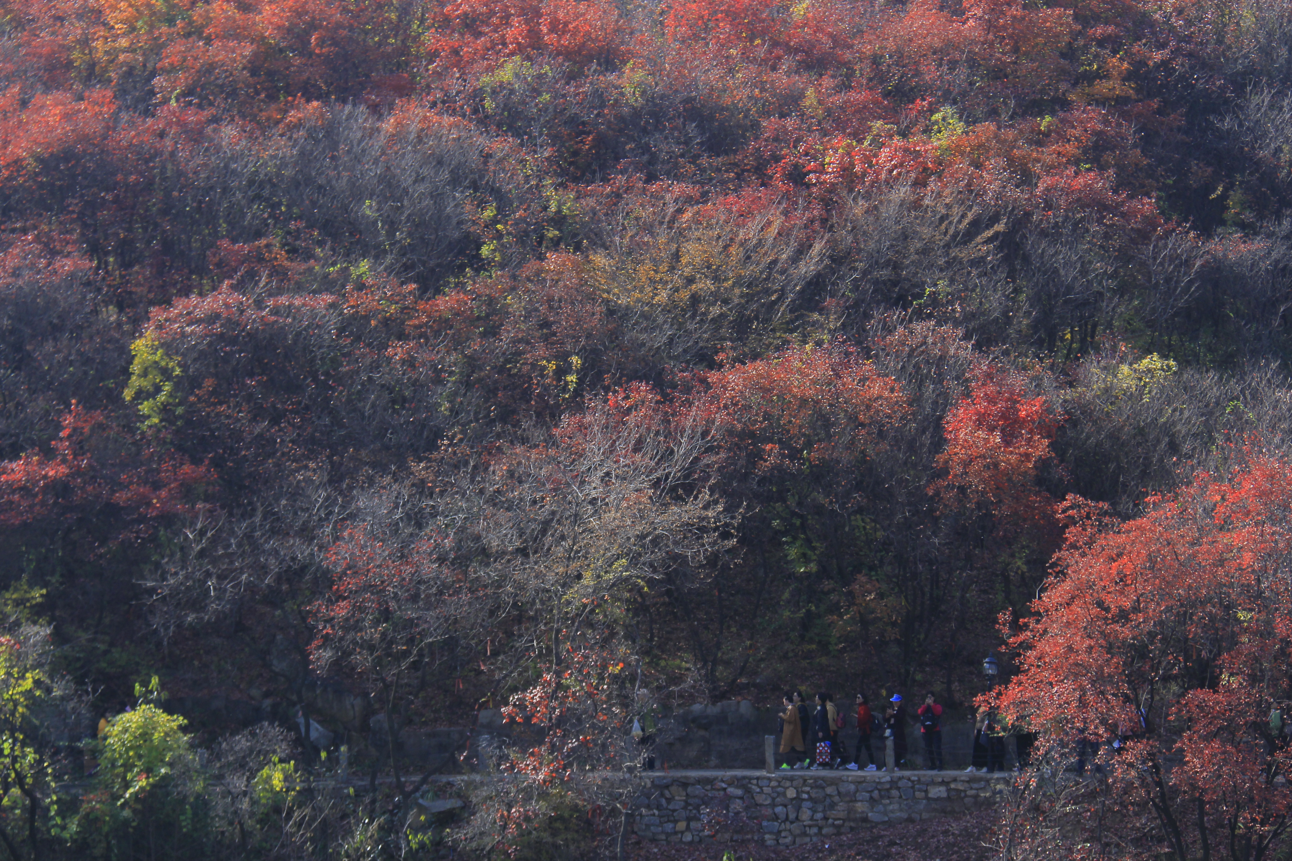 _MG_2588.JPG