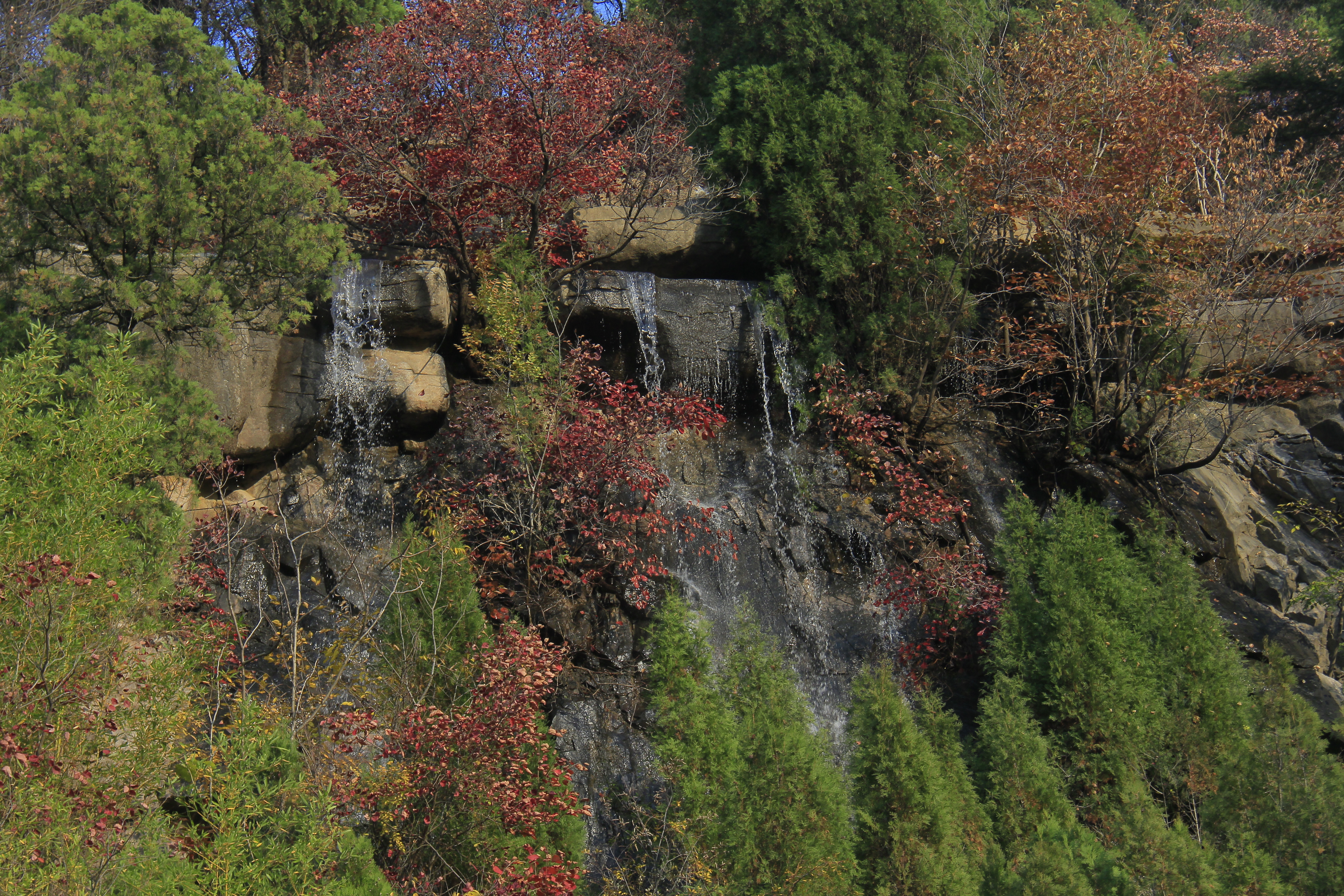 _MG_2896.JPG