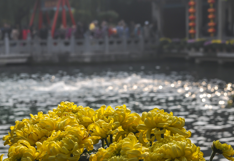 DSC_6039.小jpg.jpg