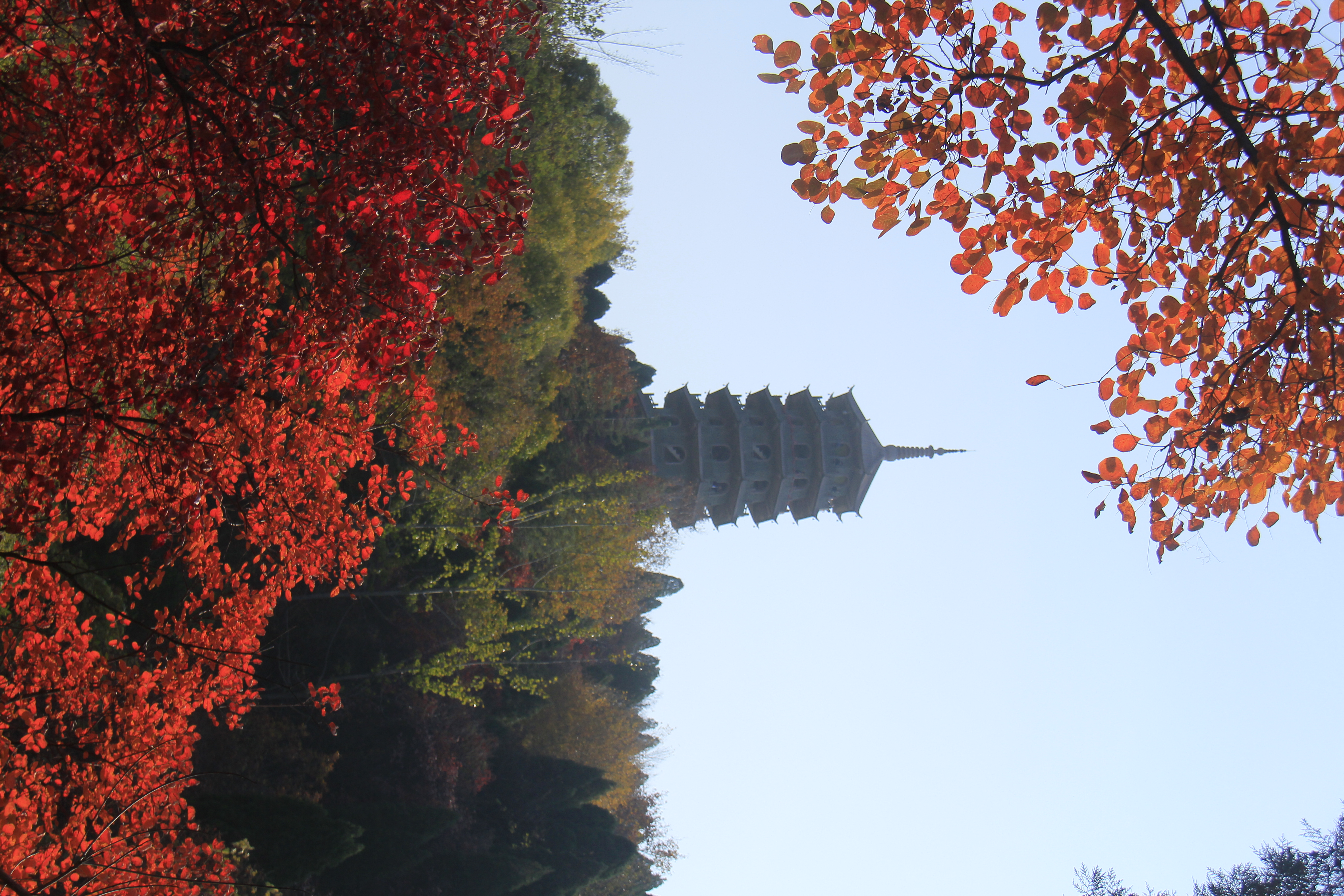 _MG_2844.JPG