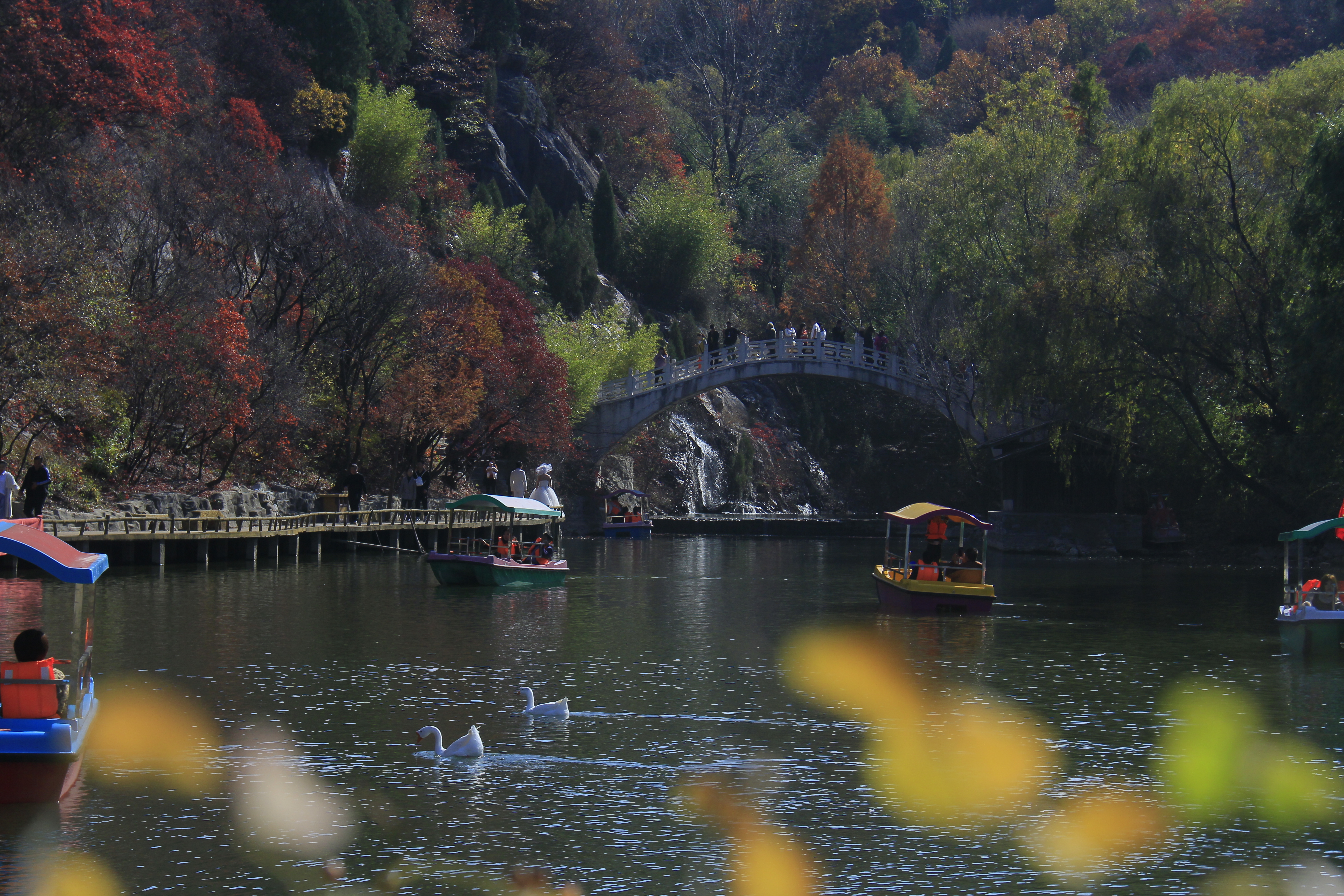 _MG_2607.JPG