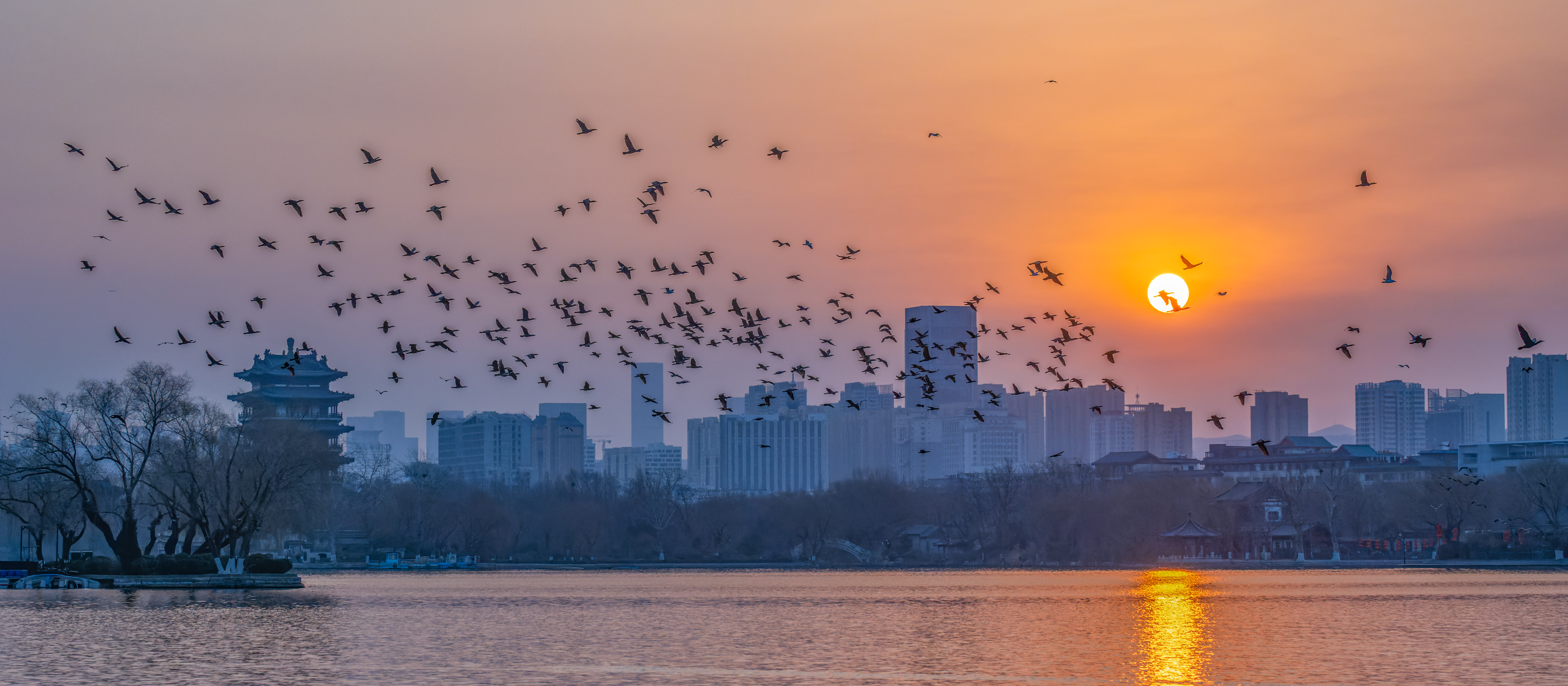 钱茜《鸟飞云锦千层外，人在丹青万幅中》大明湖20230203  13791083566.jpg
