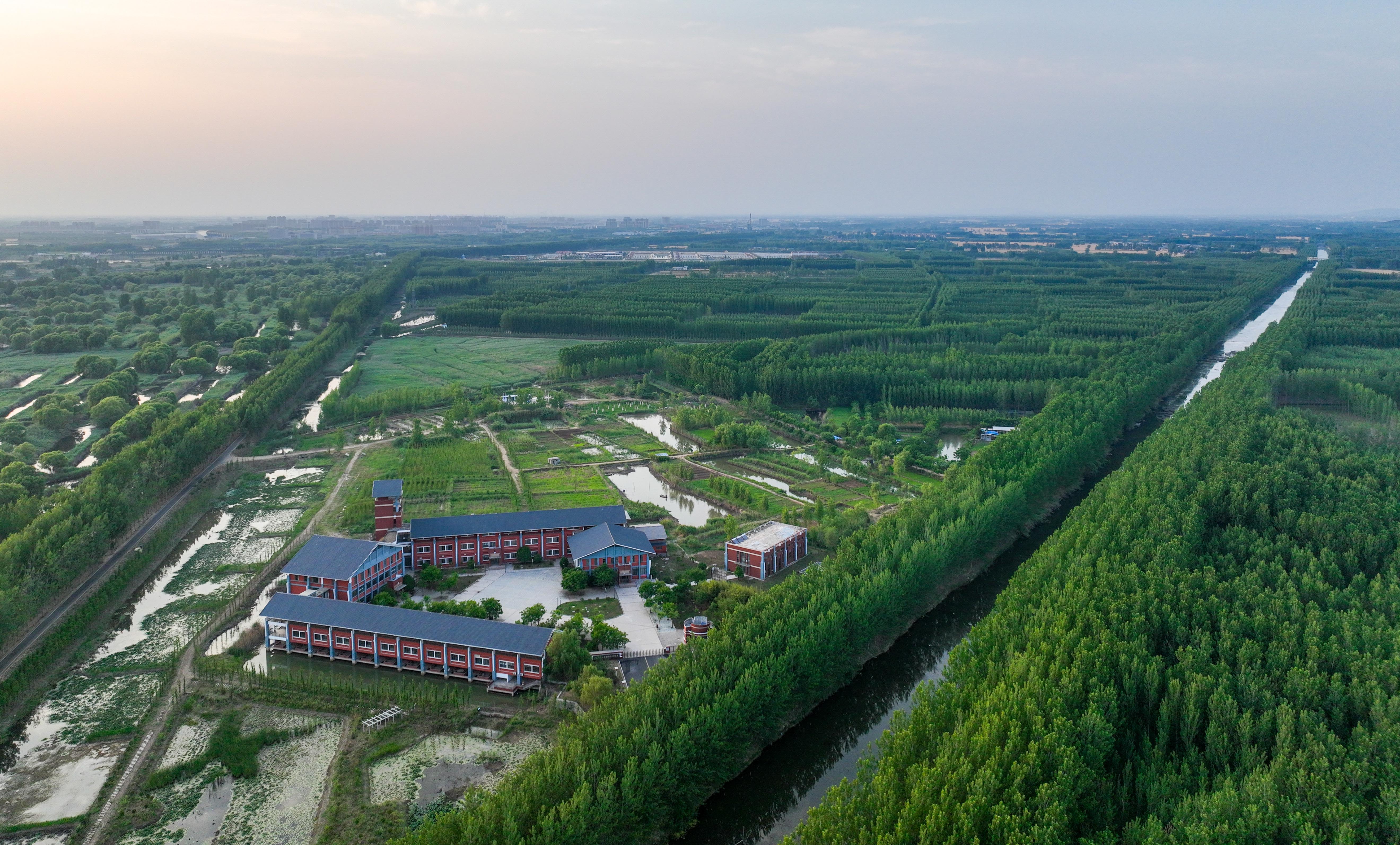 501、《湿地美景》===dji_export_1653824994269--2.jpg