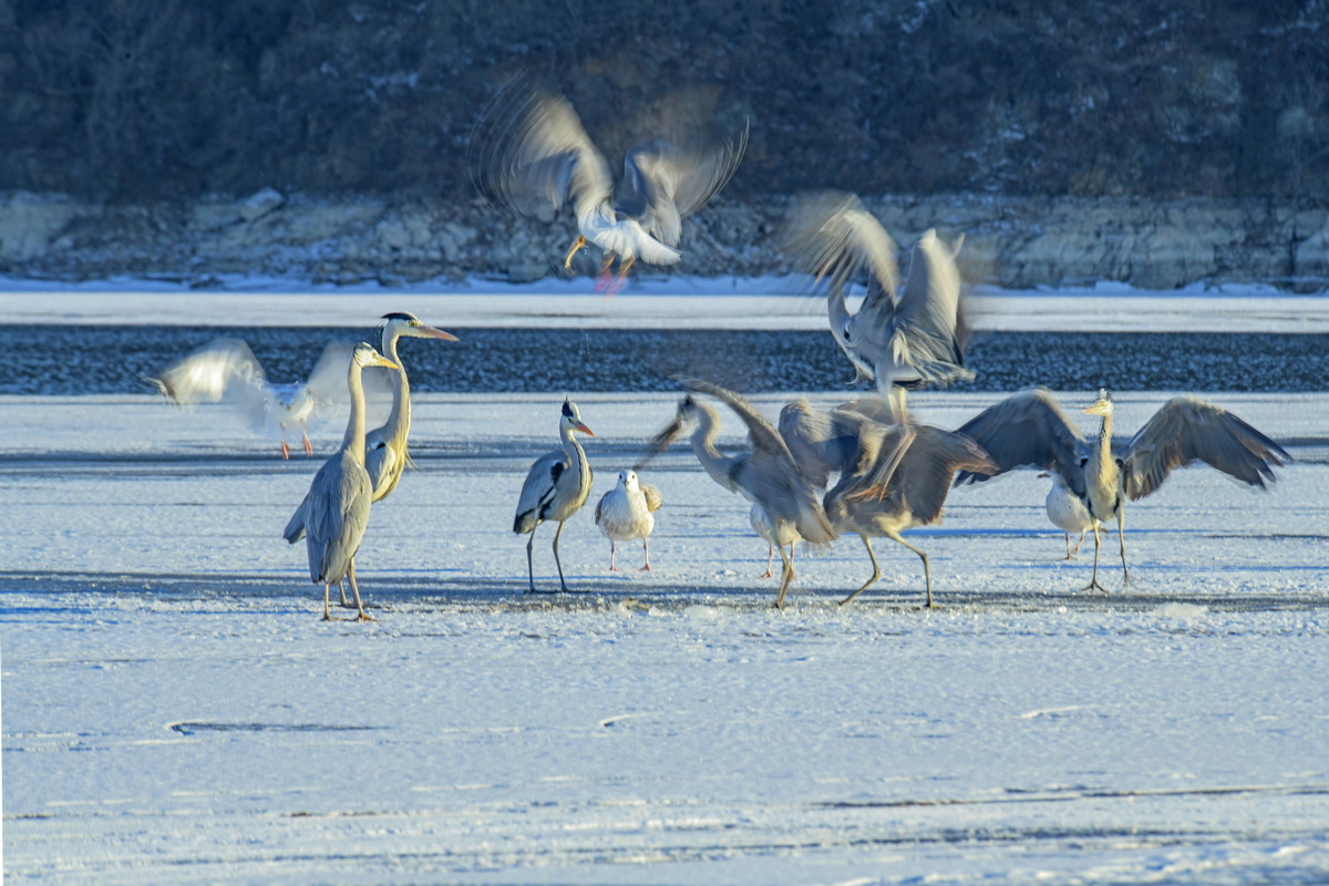 _DSC8261s_调整大小.jpg