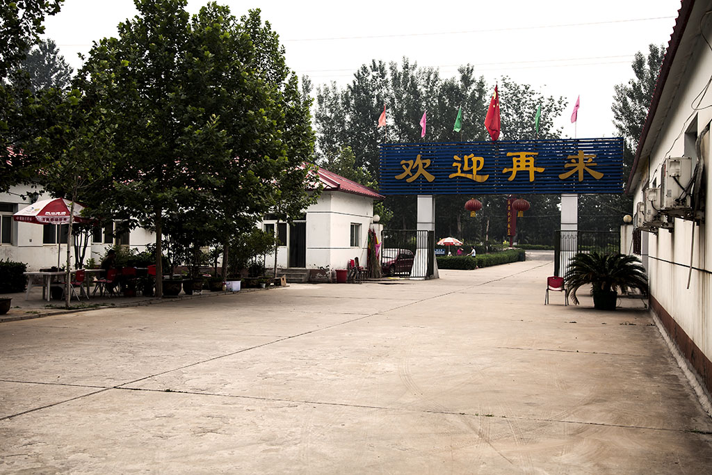 13a.jpg