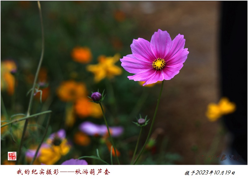 CS8A1960_副本.jpg