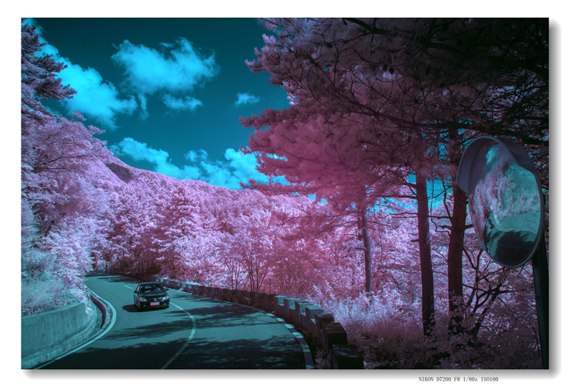 _DSC0924 拷贝_副本_副本.jpg