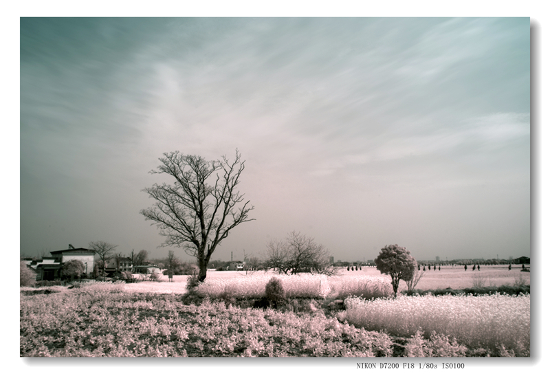 _0120014 拷贝.jpg2_副本_副本_副本_副本.jpg