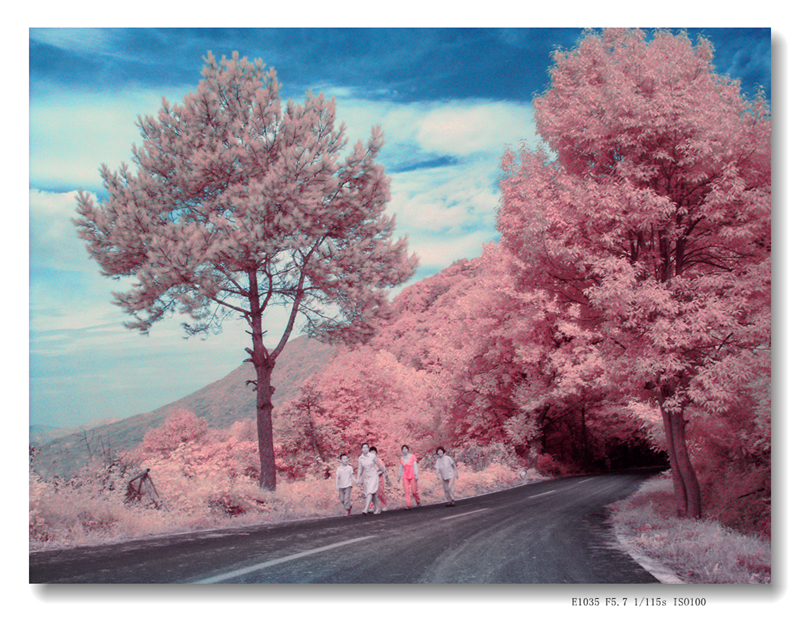 GEDC0283 (2) 拷贝_副本_副本.jpg