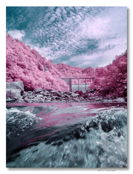 GEDC0302 拷贝_副本_副本.jpg