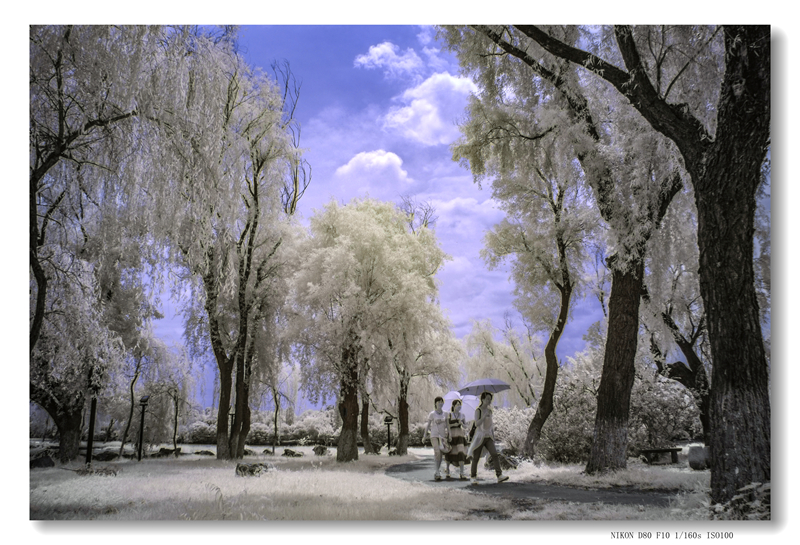 _DSC5620 拷贝_副本_副本.jpg