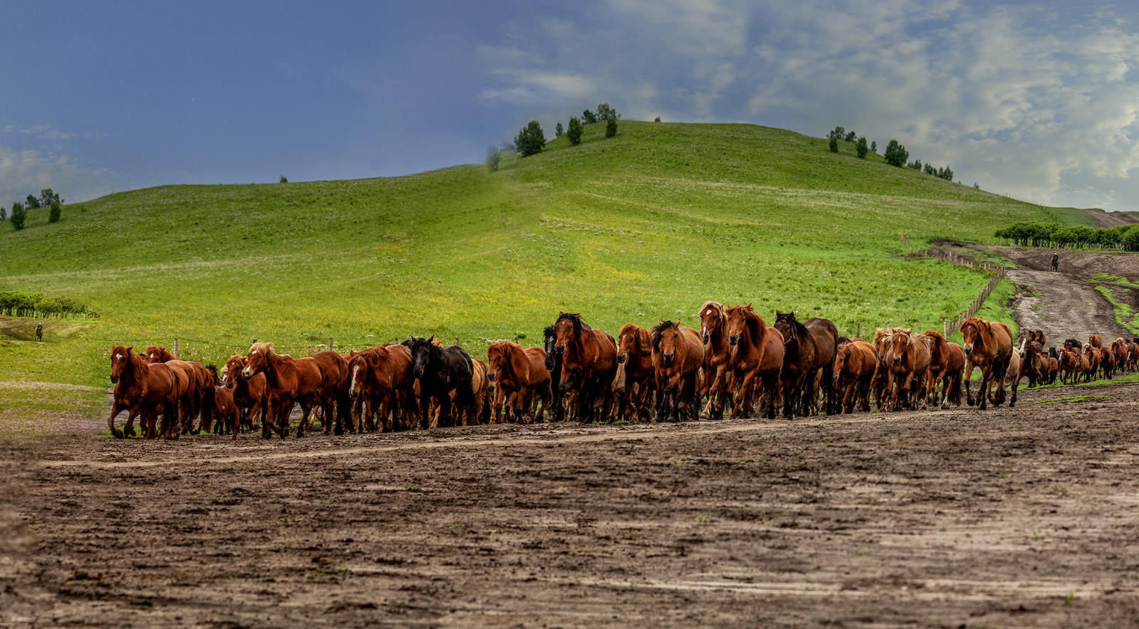 IMG_4403-Pano12A.jpg