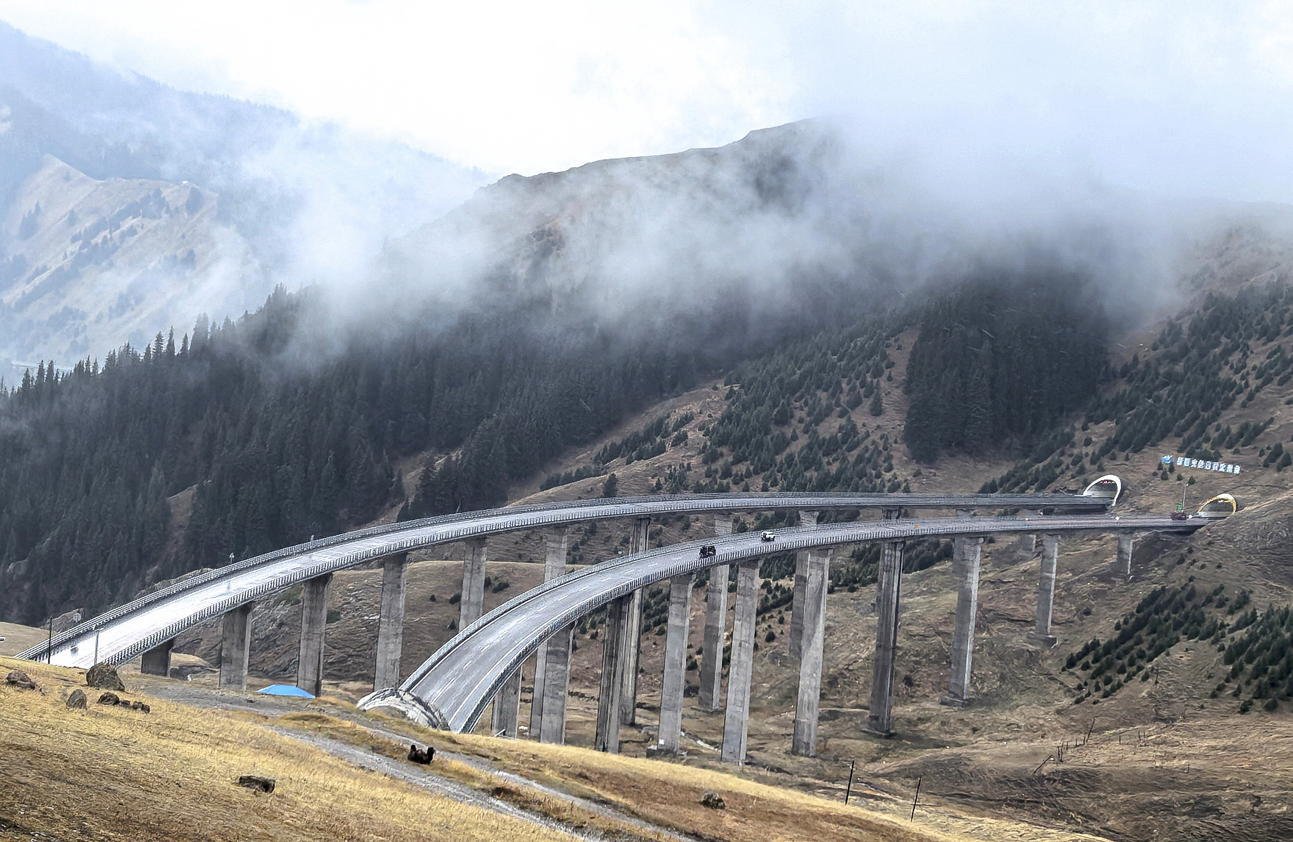 《穿越果子沟峡谷的隧道公路》马丽 2025年9月 新疆 (1).jpg