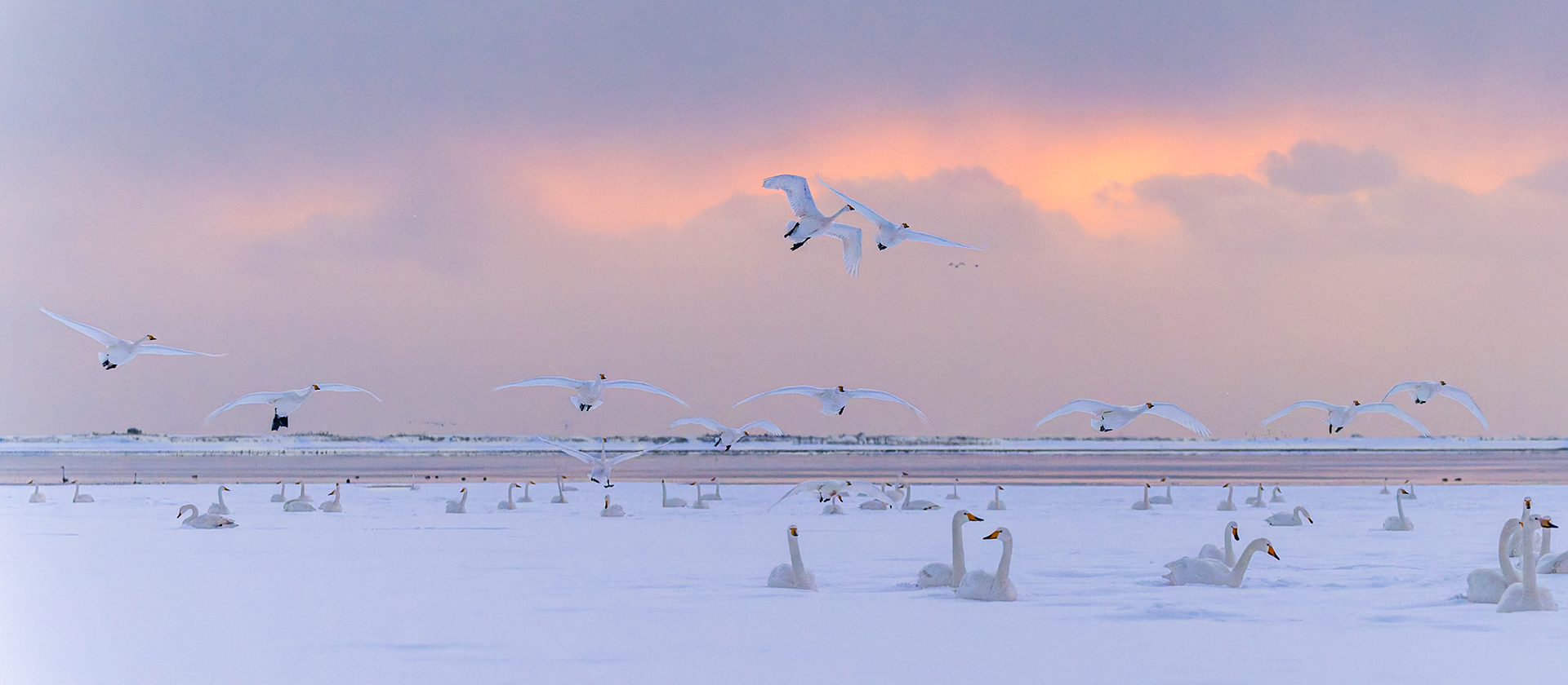 _DSC3887-DxO_DeepPRIME 3-1.jpg