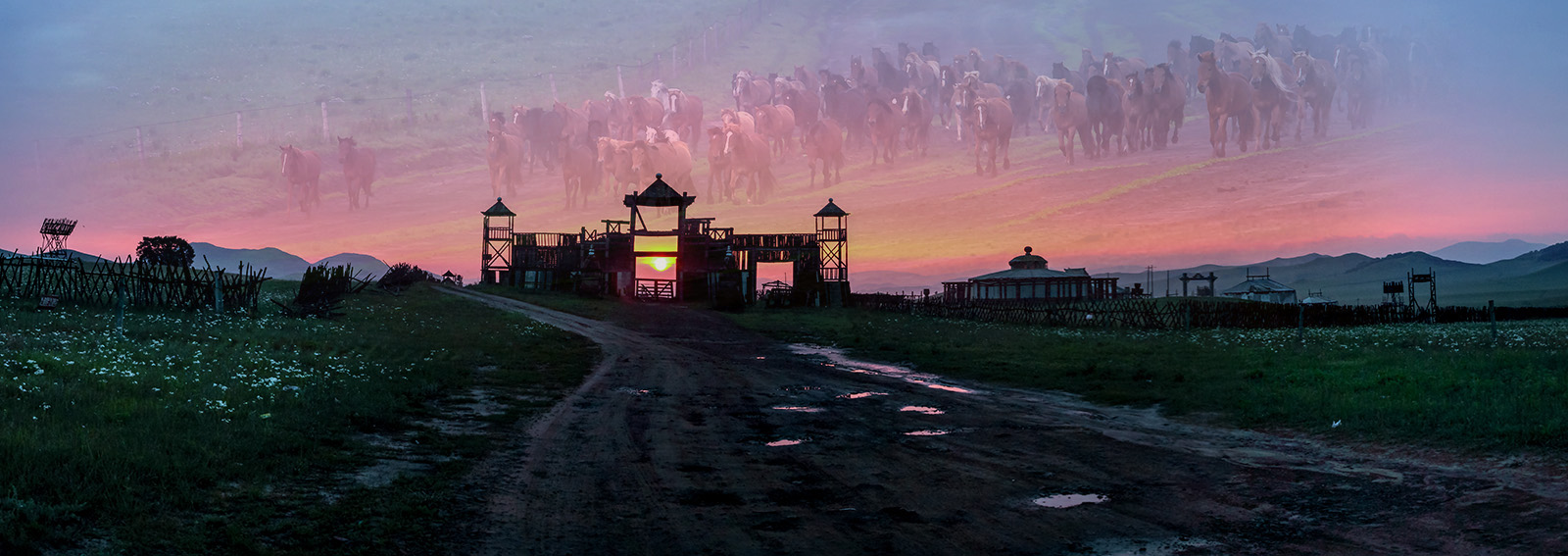 草原日出A.jpg
